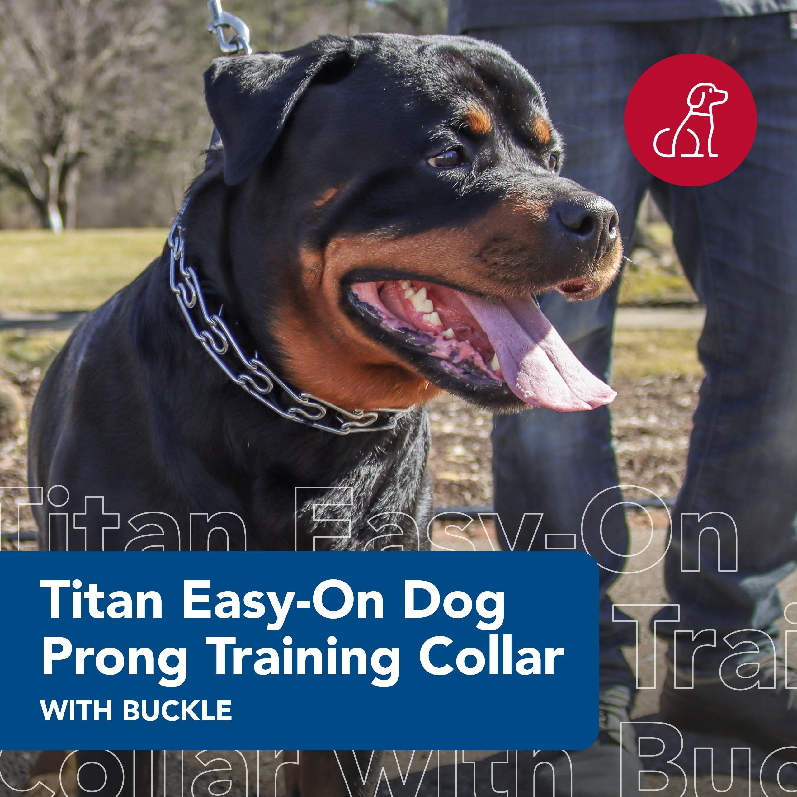 Coastal Pet Titan Easy-On Dog Prong Training Collar With Buckle - Training Collar For Dogs - Durable Metal Dog Collar - Training Collar With Side Release Buckle - Black, 3.3 Mm X 20'.