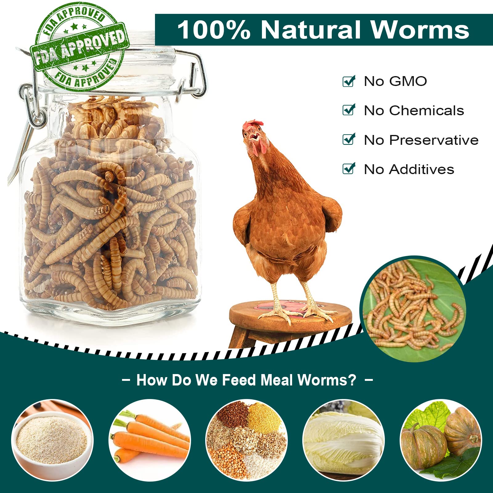 Euchirus Non-GMO Dried Mealworms - High-Protein Bird & Poultry Treats, 2LB Bulk, Ideal for Hens, Ducks, & More