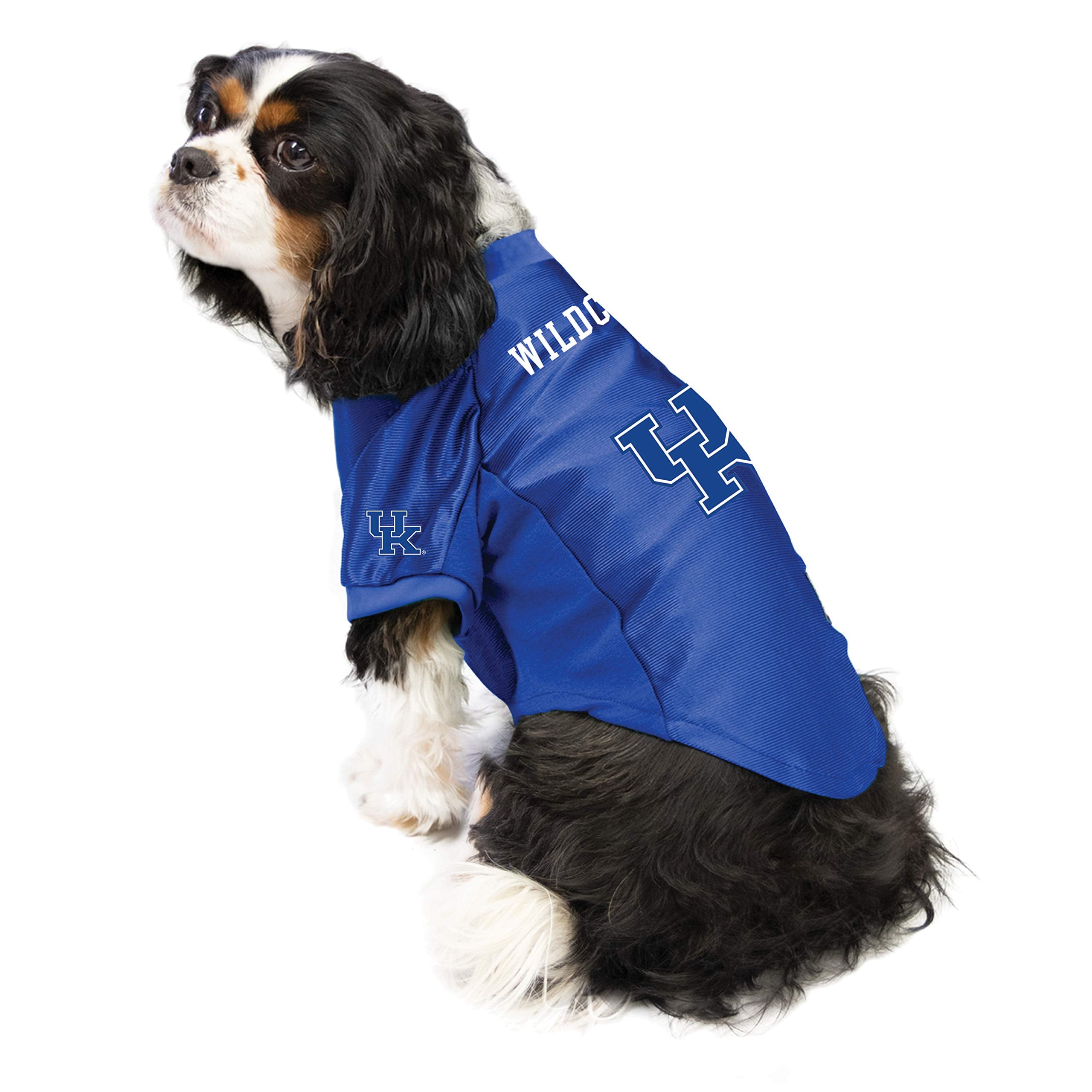 Kentucky Wildcats Pet Jersey Stretch Size Xl - Special Order