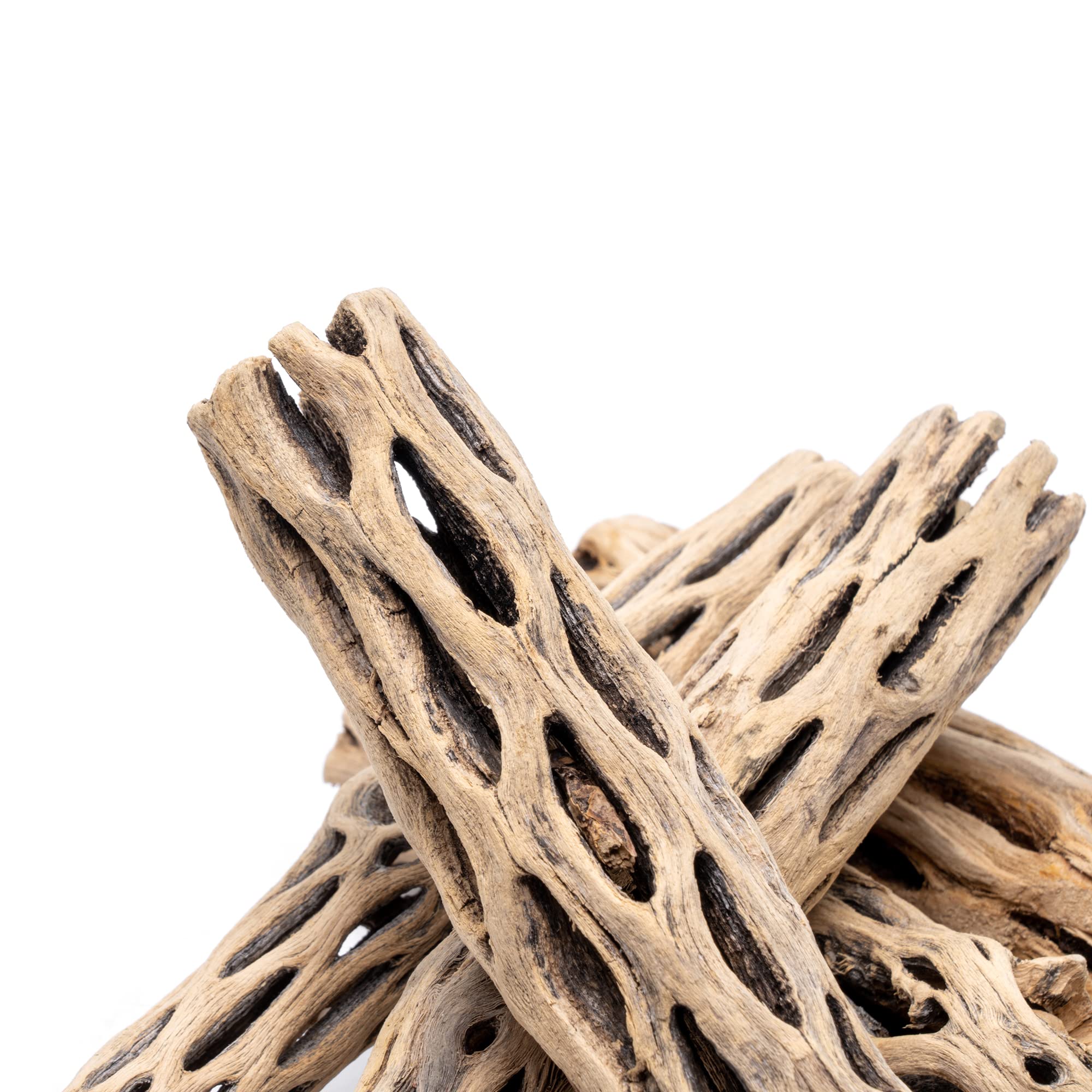 SubstrateSource Natural Cholla Wood Logs - Driftwood for Aquariums, Fish Tanks, Shrimp, Hermit Crabs, Reptiles - 4 and 6 Inch Pi