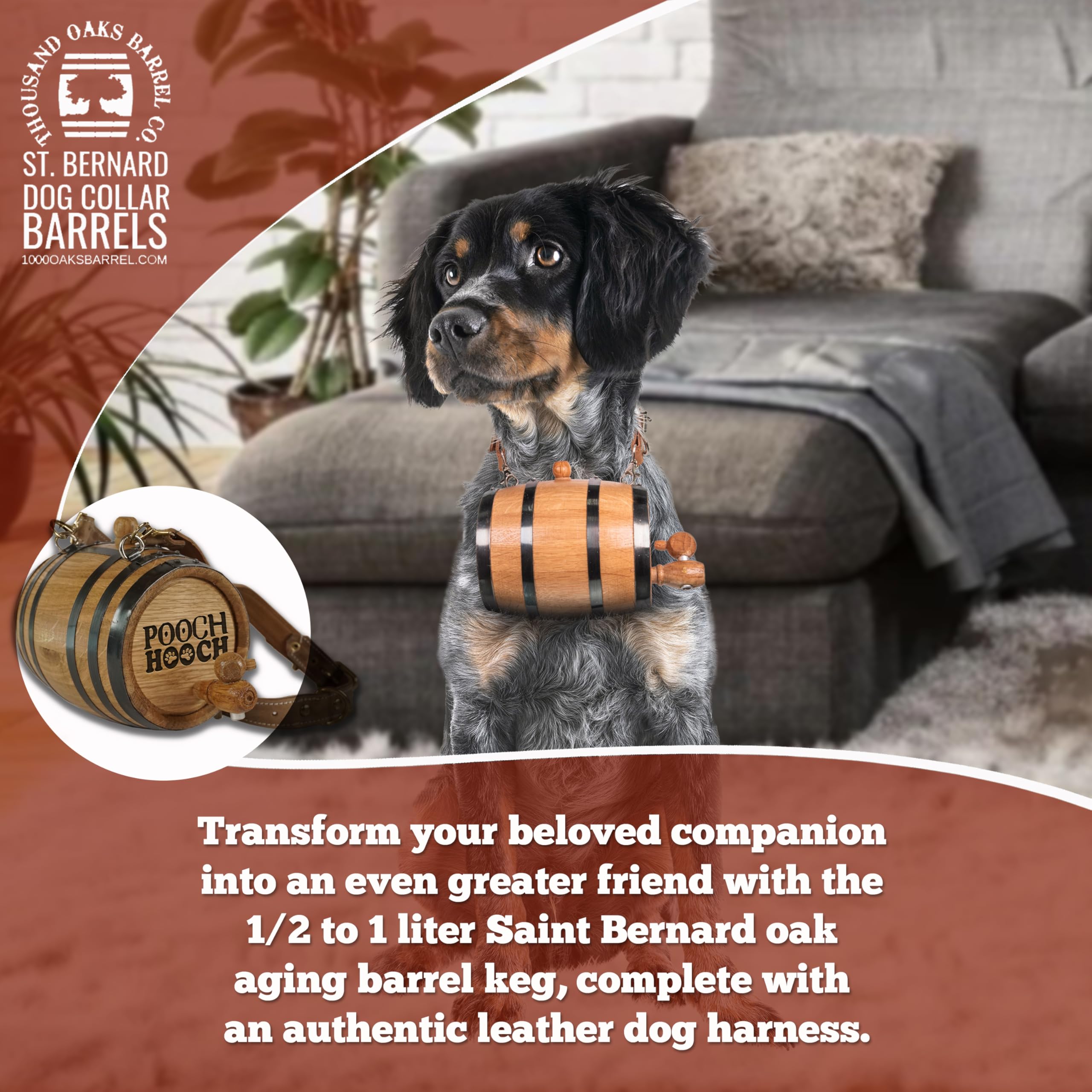 St Bernard Whiskey Barrel Collar For Dog, 'Pooch Hooch' W/ Paws Design - 1/2 Liter Oak Aging Barrel Dispenser For Saint Bernard
