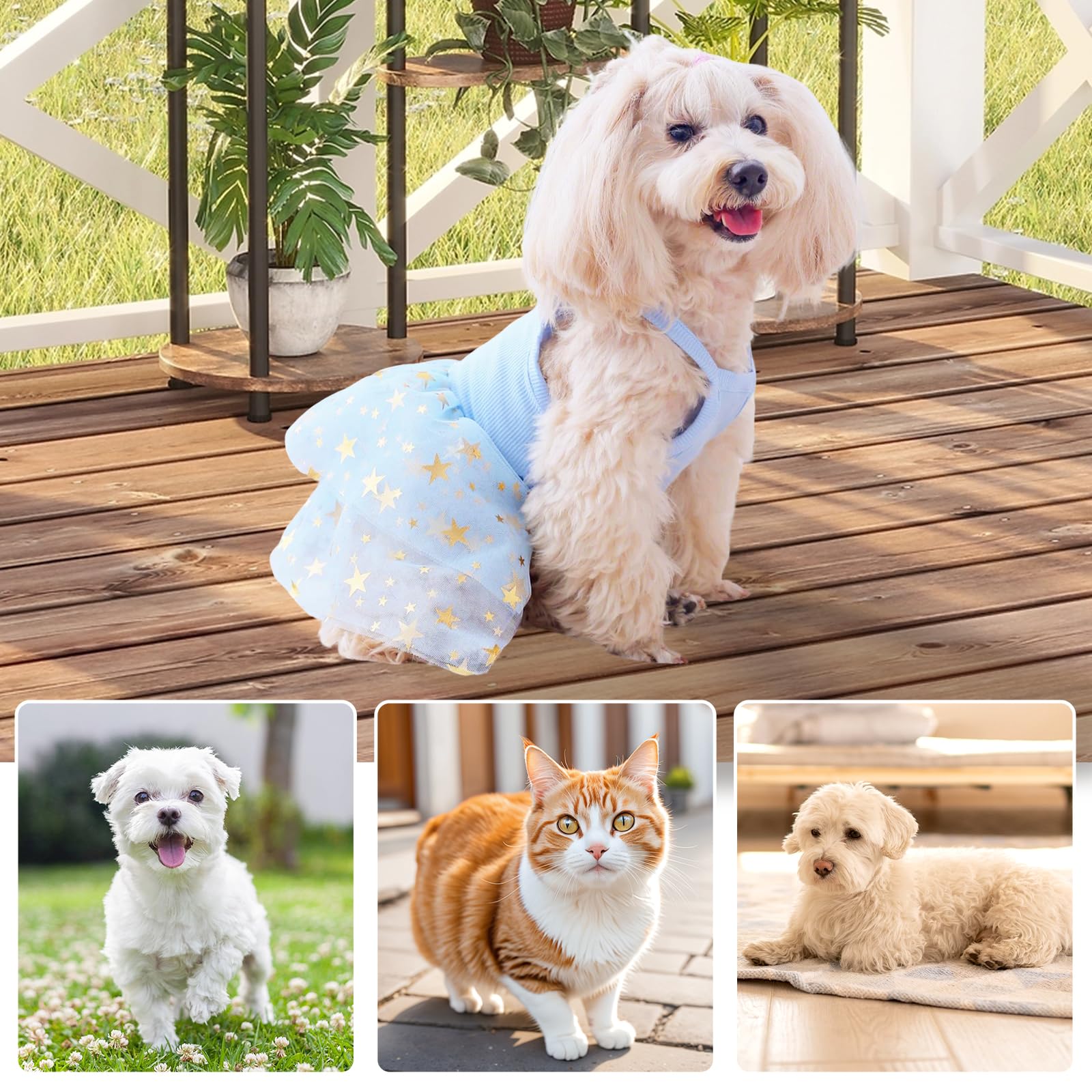 Dog Tutu Dress Cat Dogs Summer Tulle Slip Lace Dress Cute Puppy Glitter Star Skirt Pet Party Clothes For Small Medium Cat Dog (B