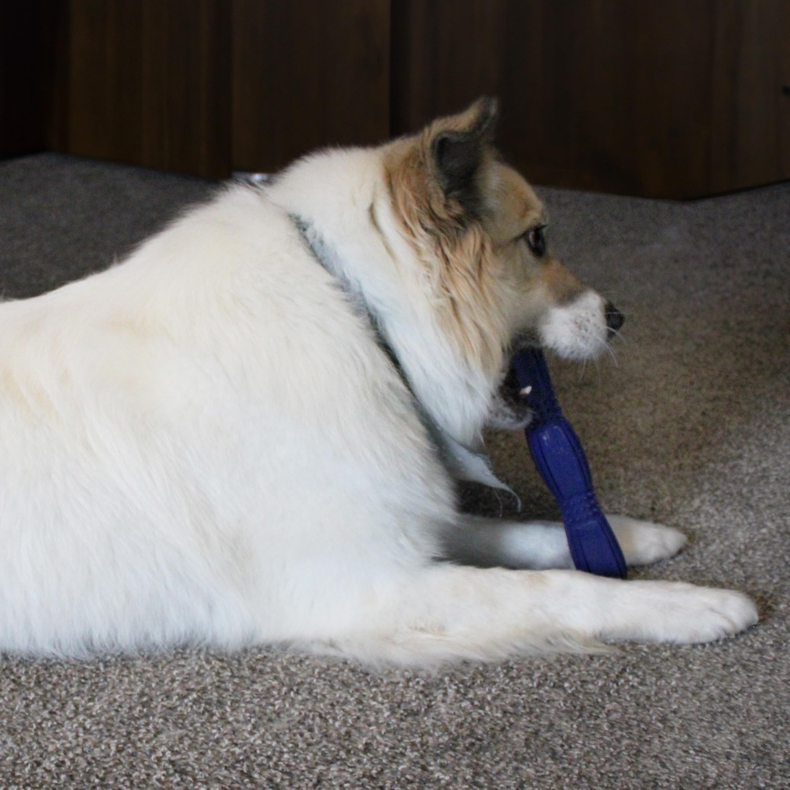 Spot Barrett Tough Retriever Stick For Medium & Large Dogs - Virtually Indestructible Solid Rubber Dog Toy For Aggressive Chewer