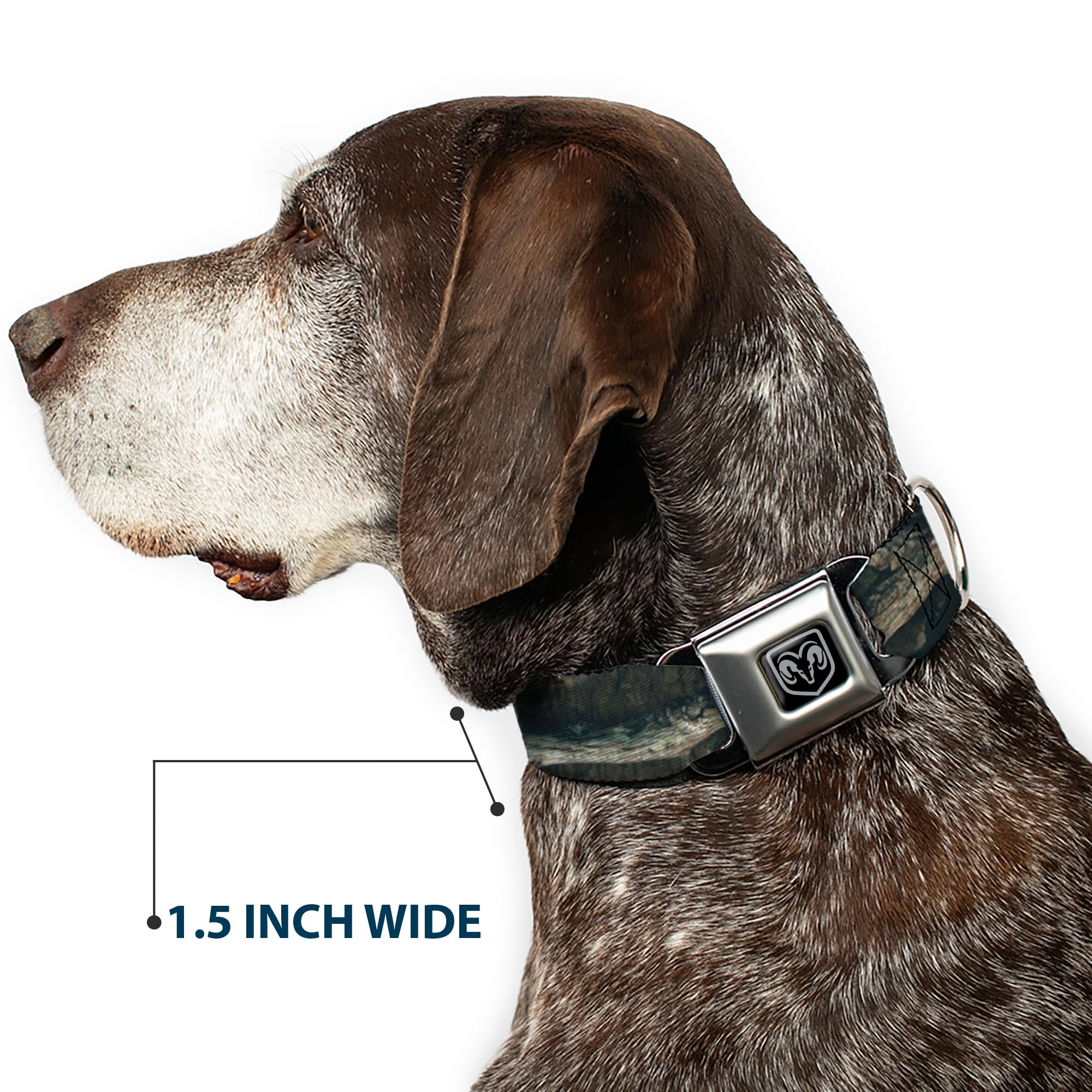 Buckle-Down Dog Collar Seatbelt Buckle Mossy Oak Break Up Infinity 18 to 32 Inches 1.5 Inch Wide