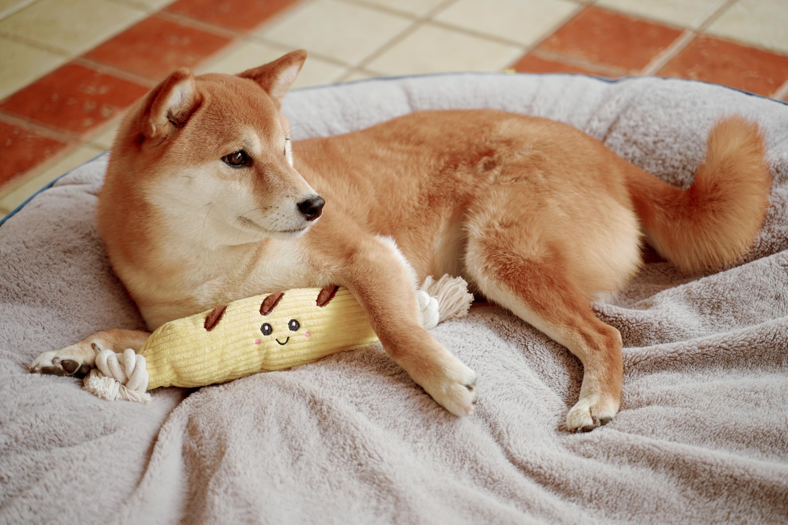 Puffy Crew Squeaky Dog Plush Toy, Bakery Bite_Stick Collection, 12'', For Various Sized Dogs (Baguette, Large)