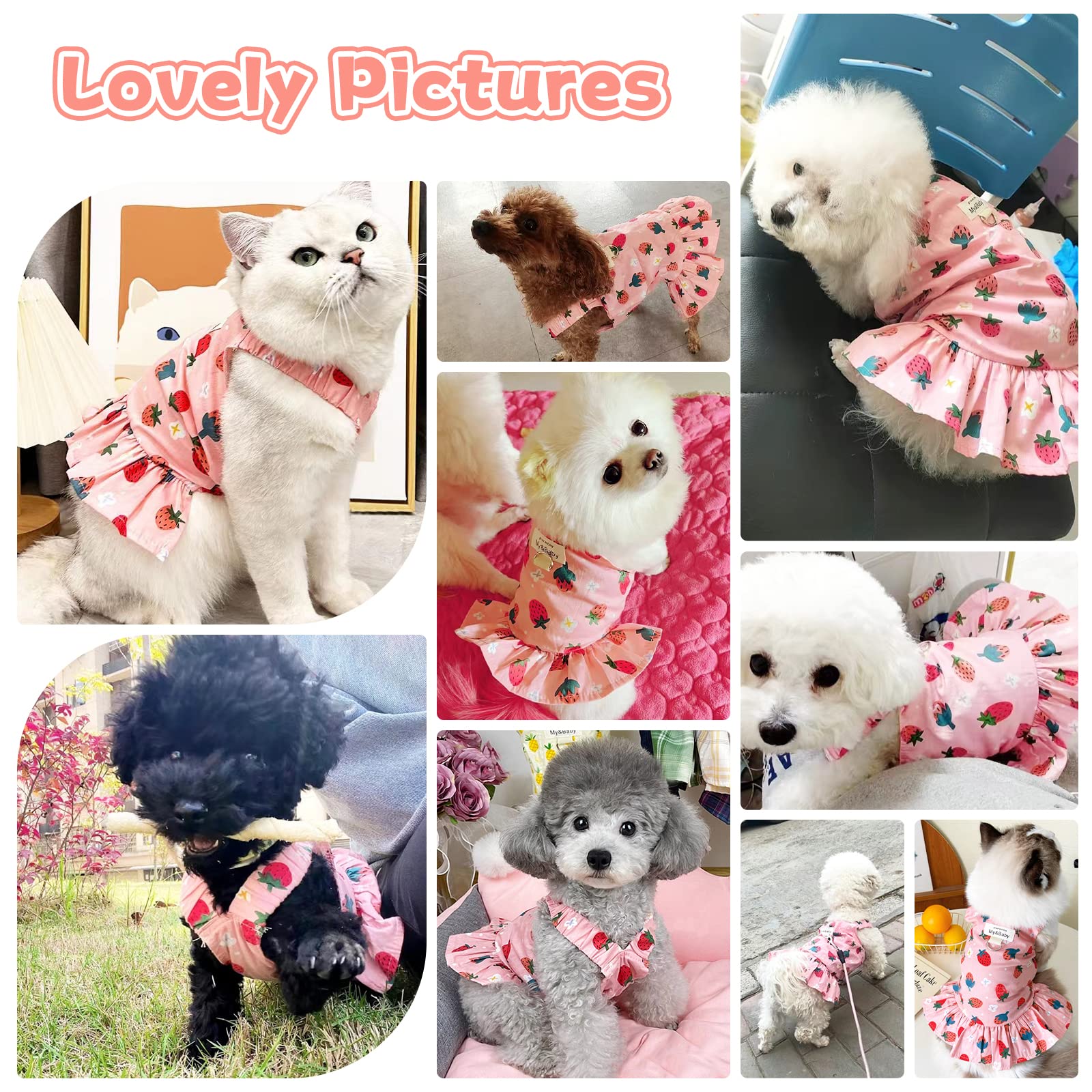 Petpubgnzs Small Dog Dress Harness And Leash Set - Cute Princess Birthday Dresses, Soft Fruit Print Puppy Clothes For Cats, Chih
