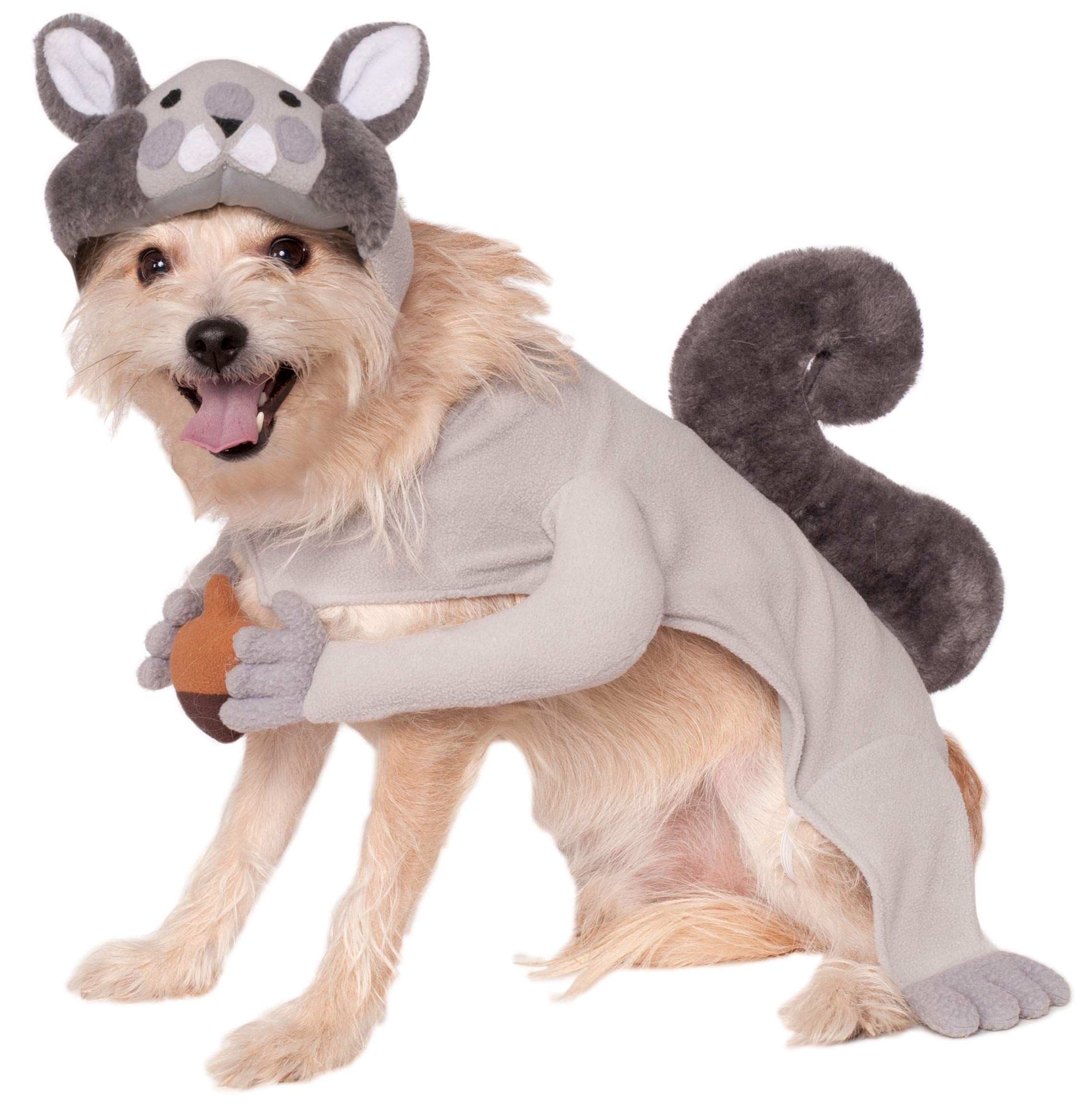 Rubies Squirrel Pet Costume, Small For Themed Parties And Halloween