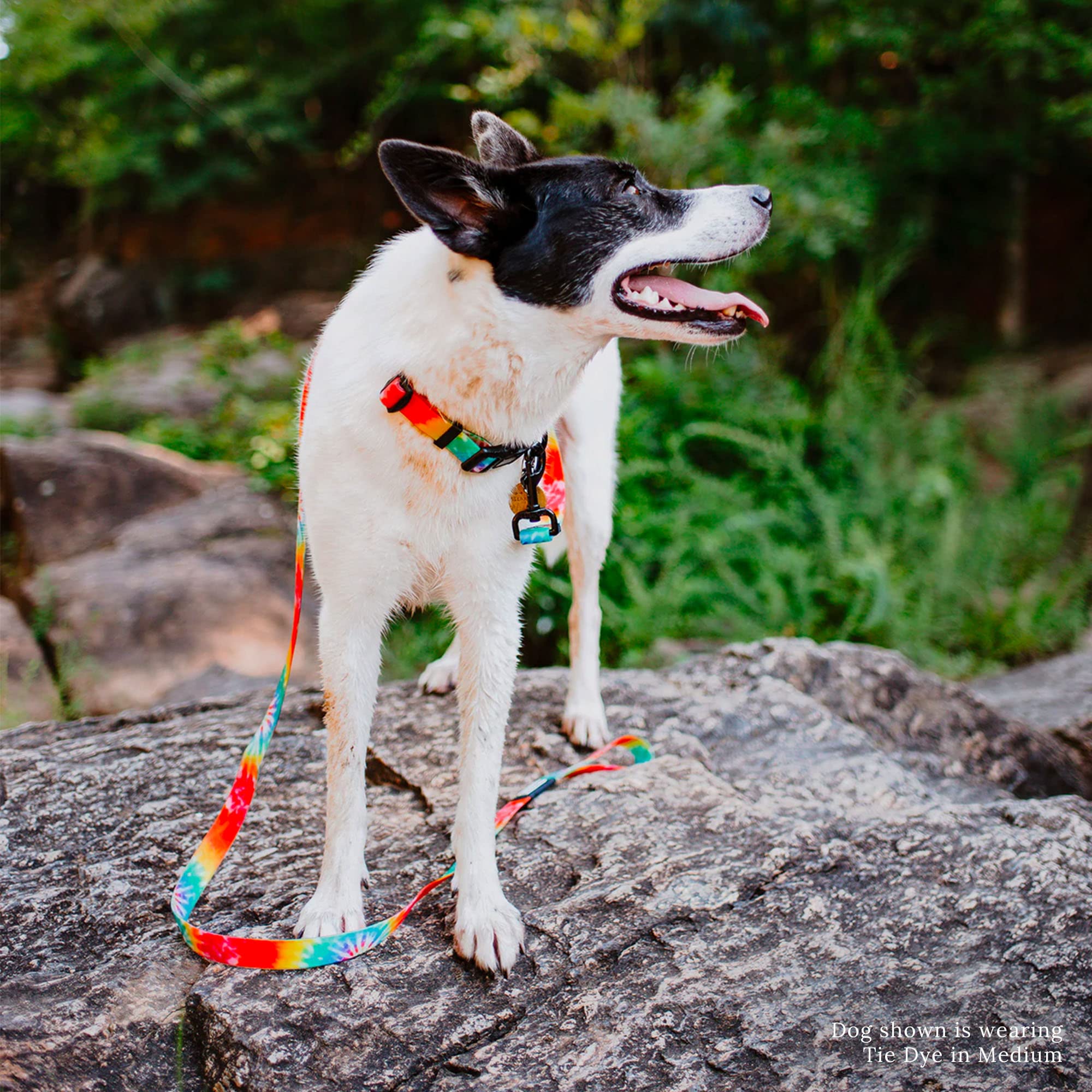 Wilderdog Waterproof Dog Collar - Repels Water & Dirt - Medium 13'-18' - Tie Dye