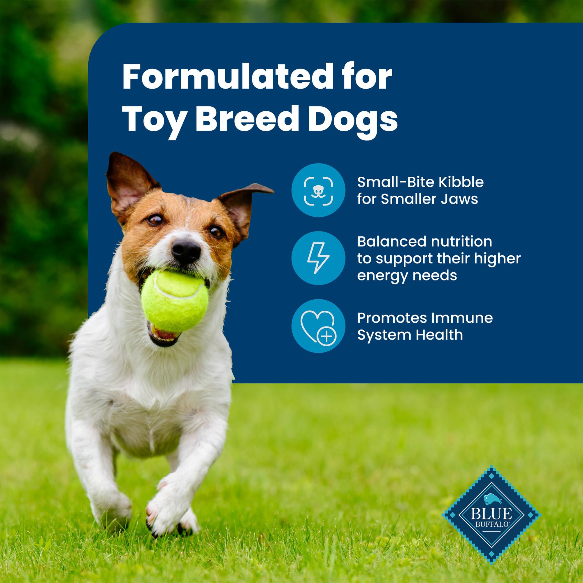 Blue Buffalo Life Protection Formula Adult Small Bite Dry Dog Food, Helps Build and Maintain Strong Muscles, Made with Natural I