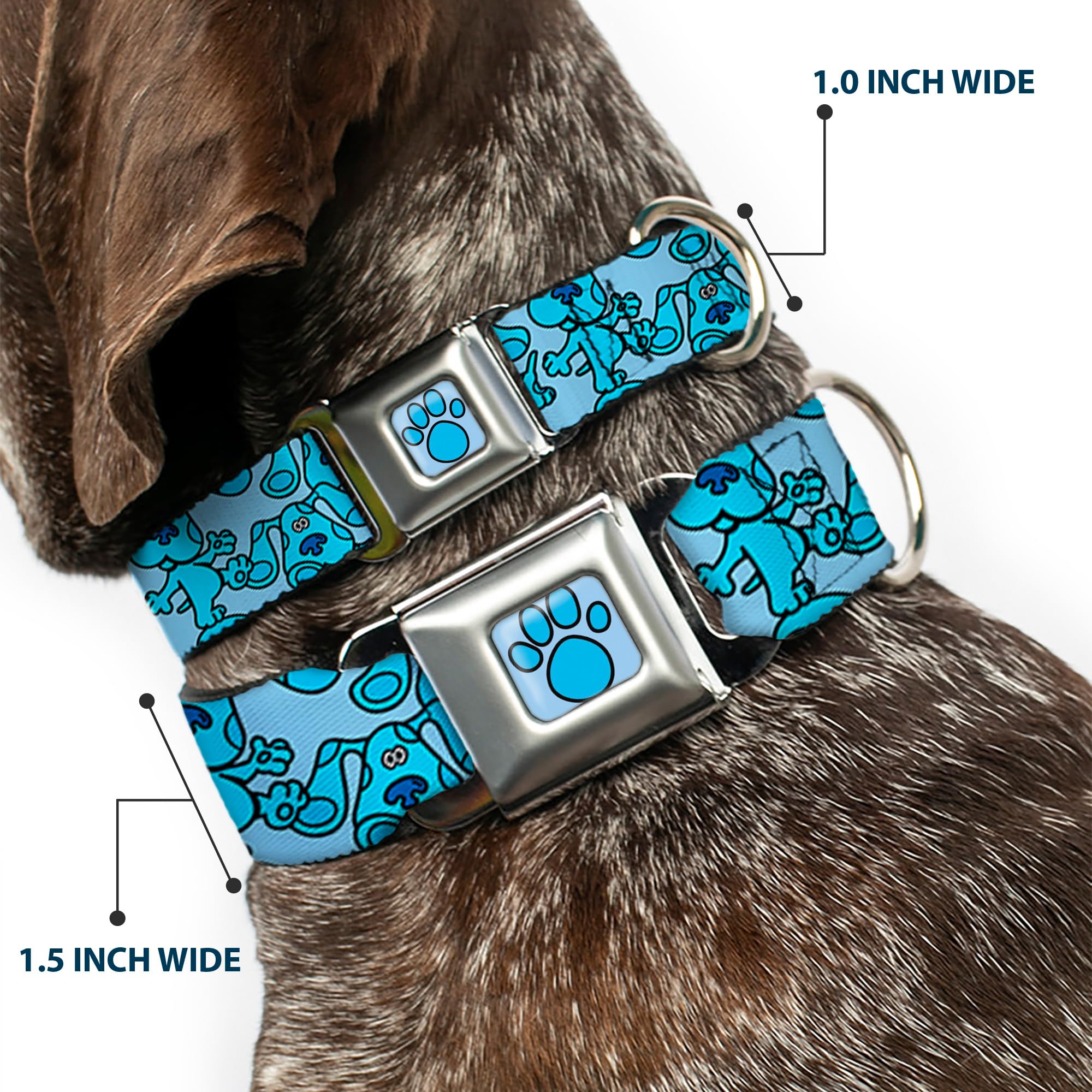Dog Collar Seatbelt Buckle Blues Clues Blue Poses Scattered 20 To 31 Inches 1.5 Inch Wide