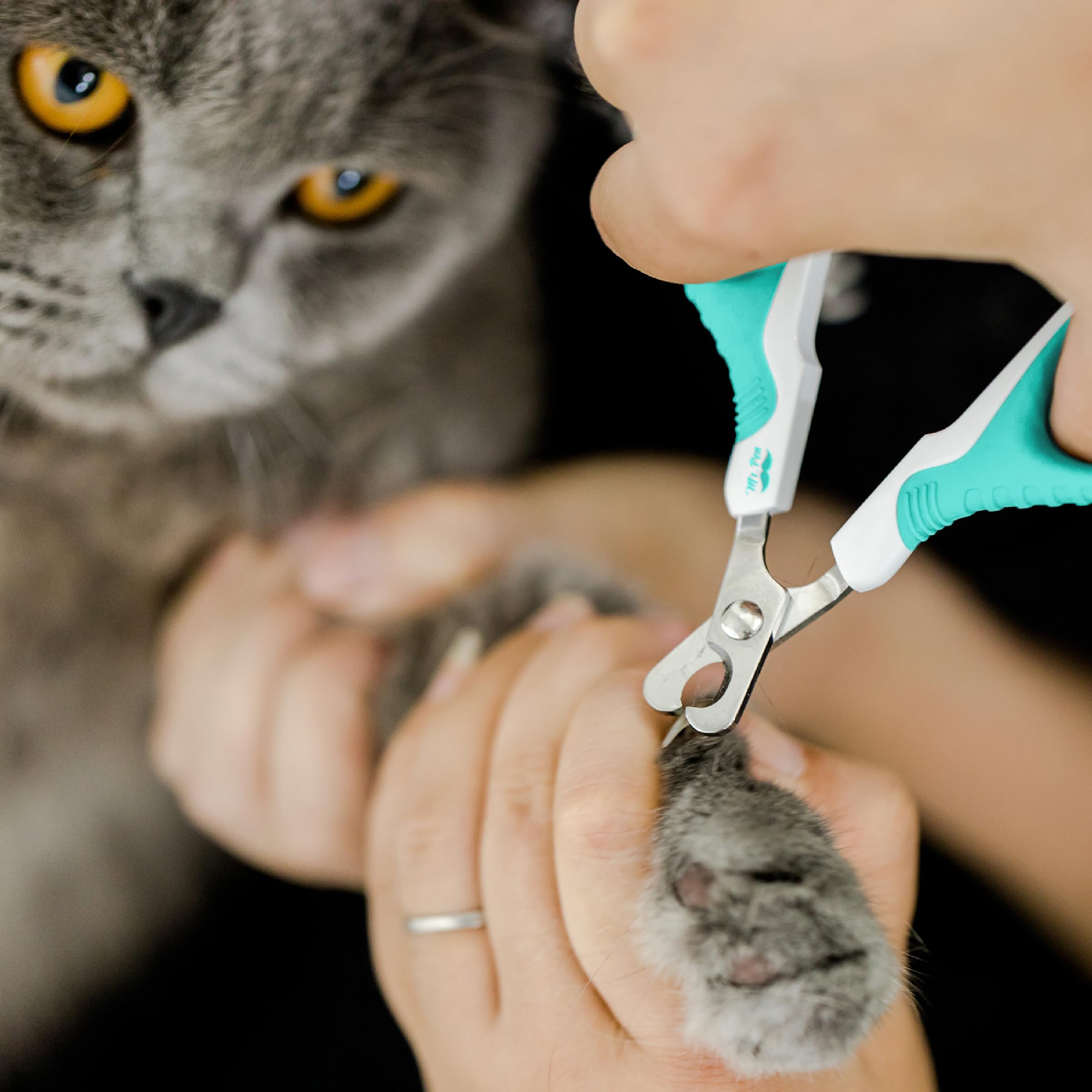 Mr. Pen Cat Nail Clipper, Sky Blue, Model EFXS001M411VC, Pet Nail Trimmer for Cats and Small Dogs
