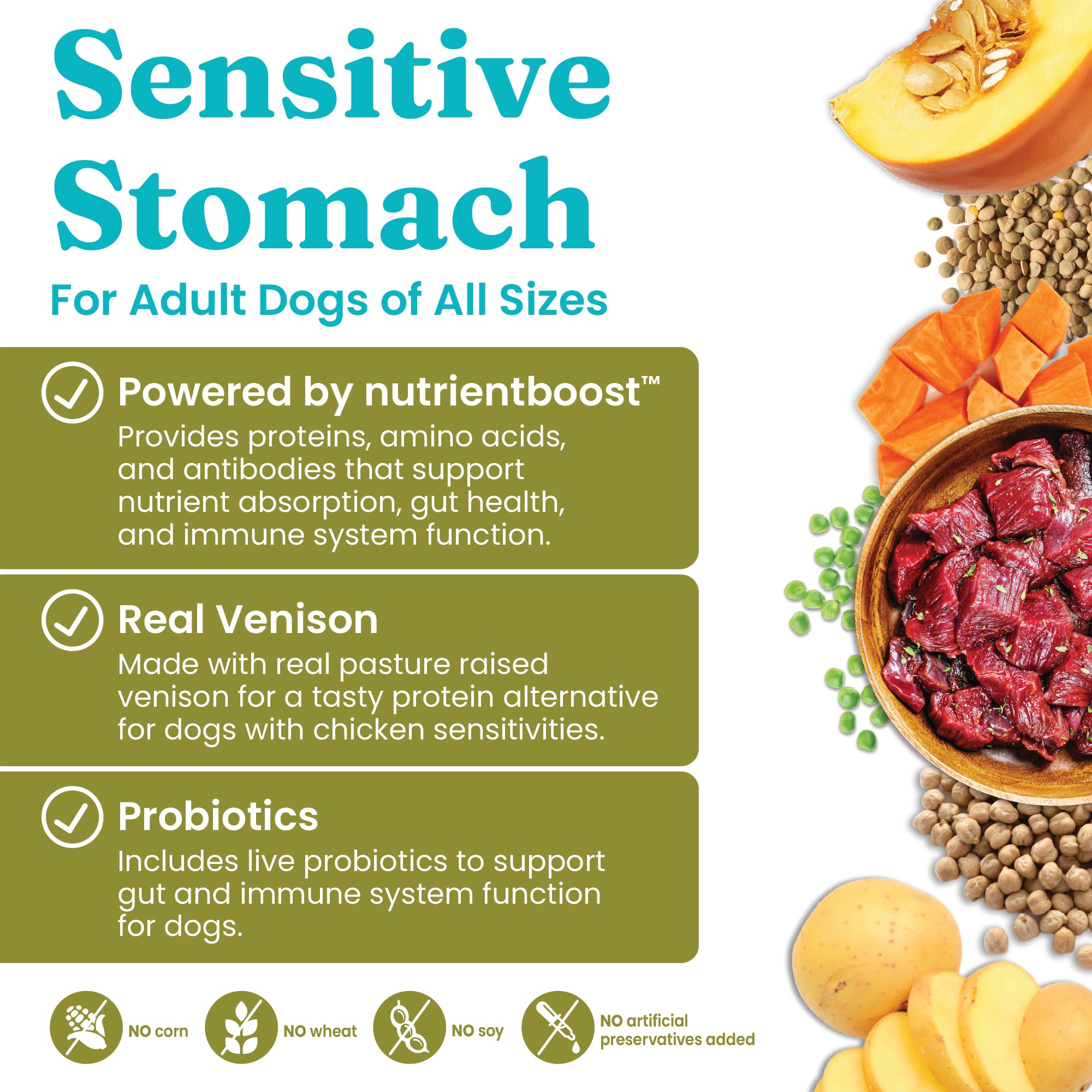 Solid Gold Dry Dog Food for Sensitive Stomachs - Grain Free & Gluten Free w/Venison, Pumpkin & Probiotics for Gut Health & Diges