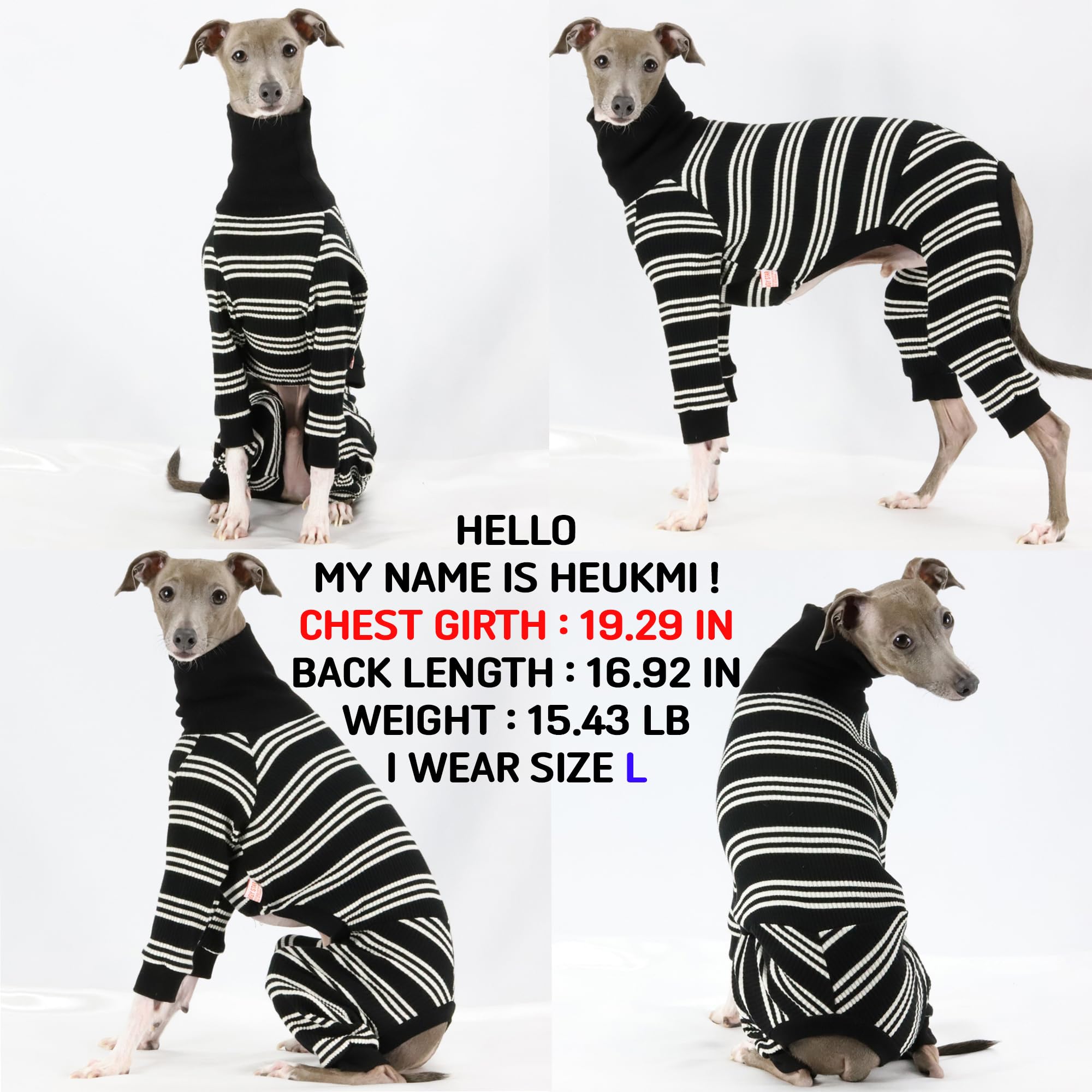 D Doggy Star Italian Greyhound Clothes Soft Stretchy Onesie Refined Stripe Outfit Whippet For Dog Coat (Xl,Onsi Ivory Str)
