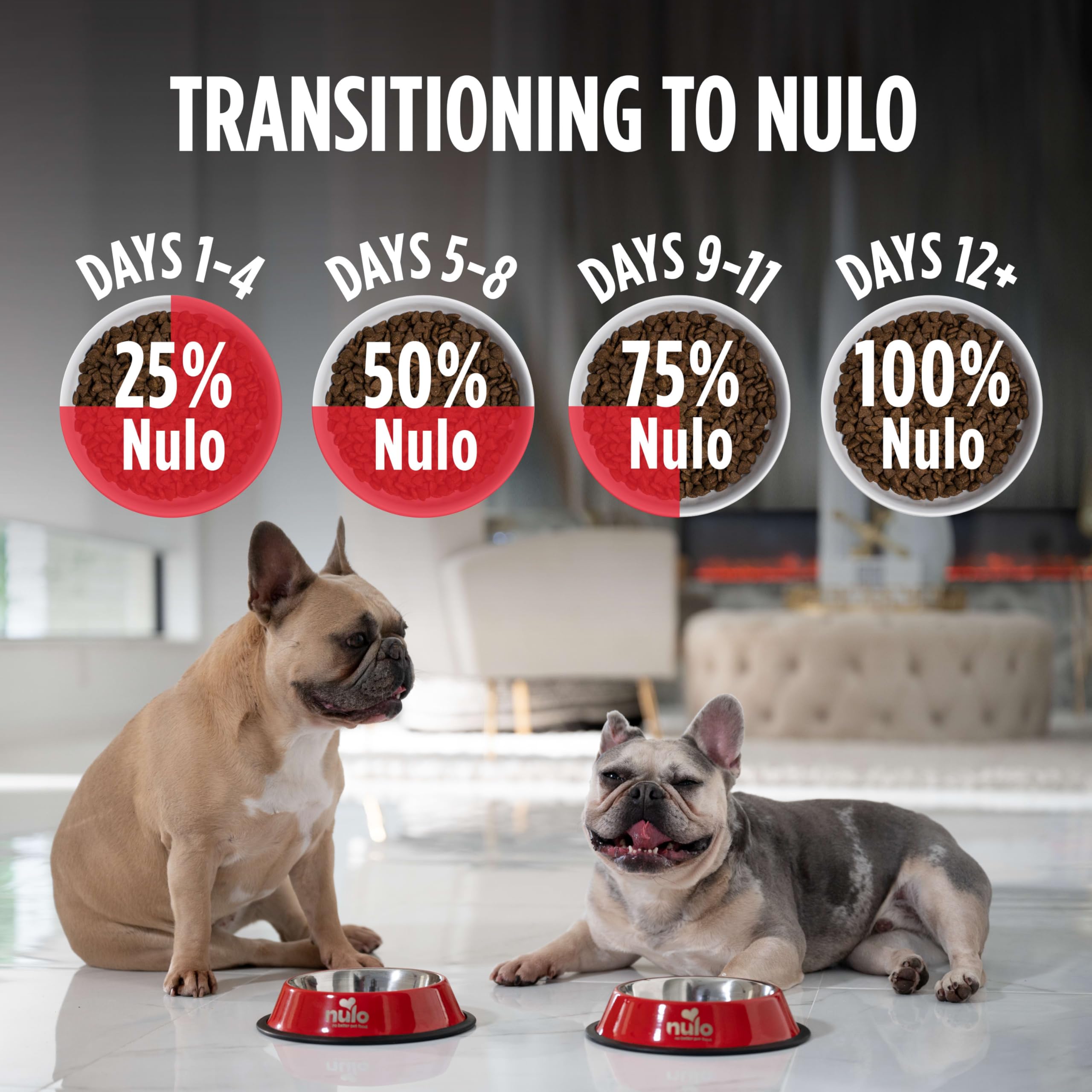 Nulo Freeze-Dried Raw+ Adult Dog Food, Lamb Flavor, 5 lb Bag