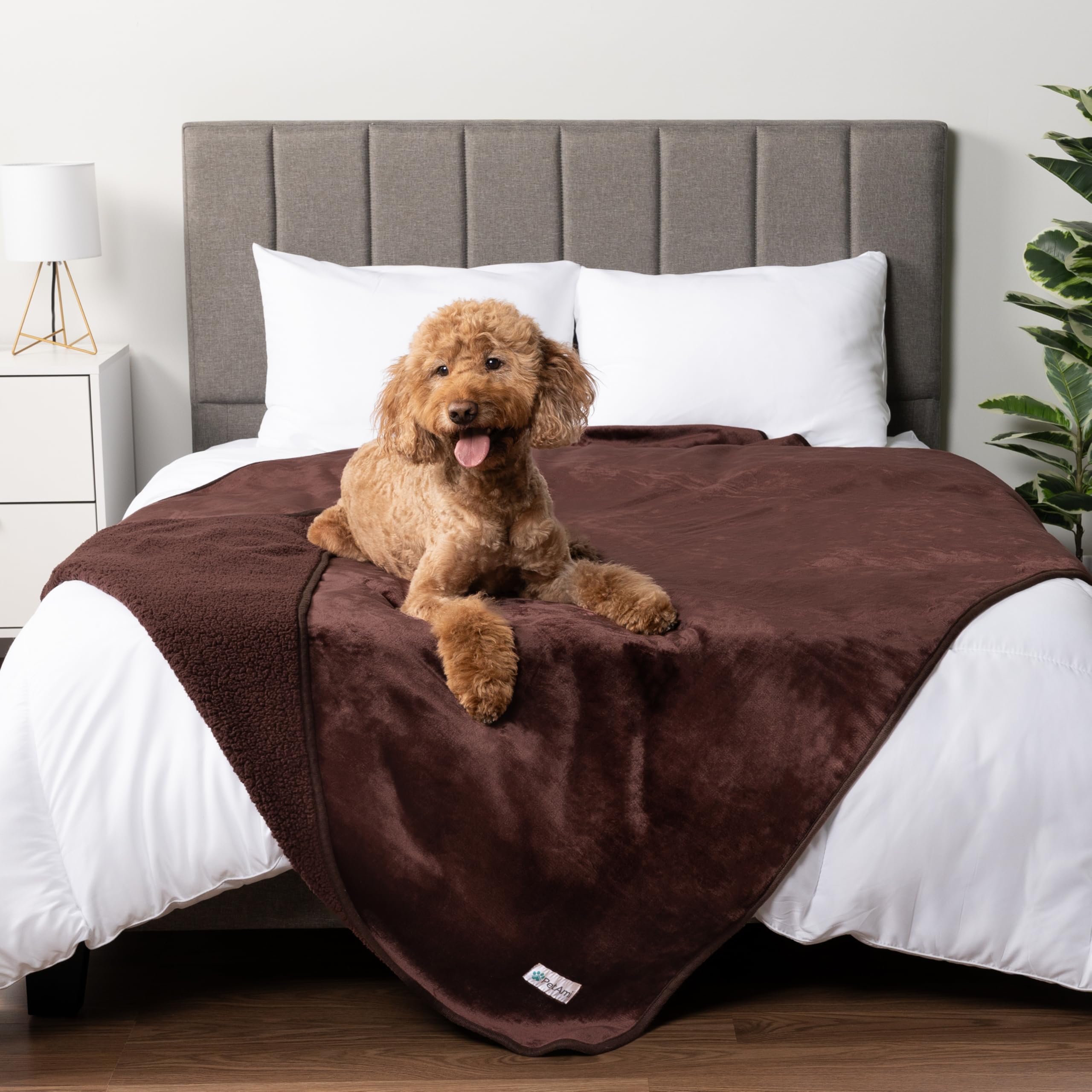 Petami Waterproof Dog Blanket For Medium Large Dogs, Pee Proof Pet Blanket For Bed Couch, Reversible Water Proof Blanket For Puppy Indoor Cat, Soft Dog Pee Crate Cover Washable, 60X80 Brown
