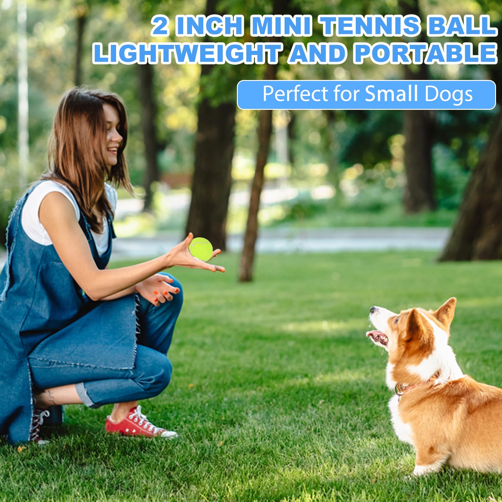 6Pcs Small Tennis Balls For Dogs, 2 Inch Mini Tennis Balls For Dogs, Dog Tennis Balls For Small Dogs, Small Dog Balls For Playin