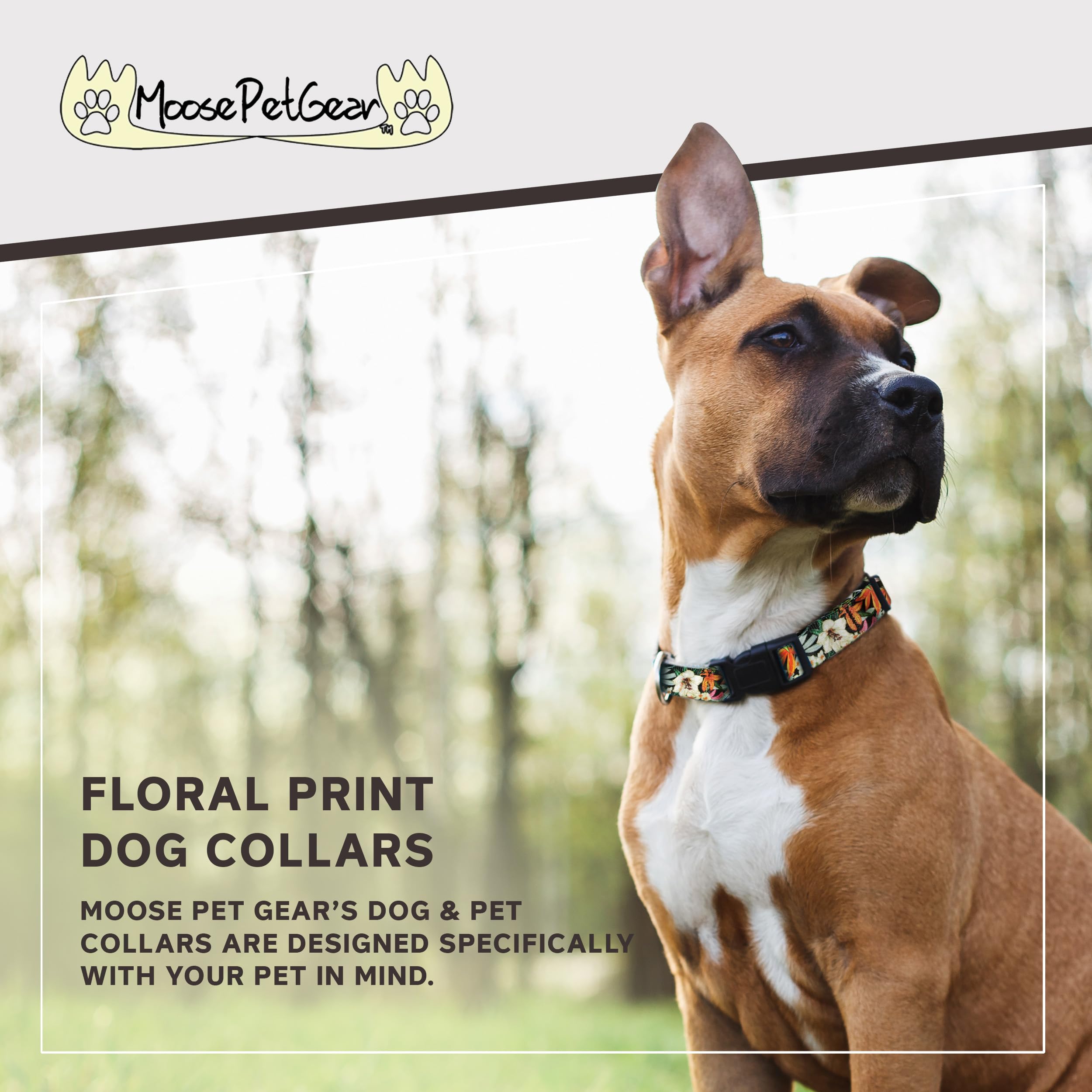 Floral Print Dog Collar -Waterproof Cute Floral Female Dog Collar - 1' Adjusts 13-21', Large, Tropical Garden