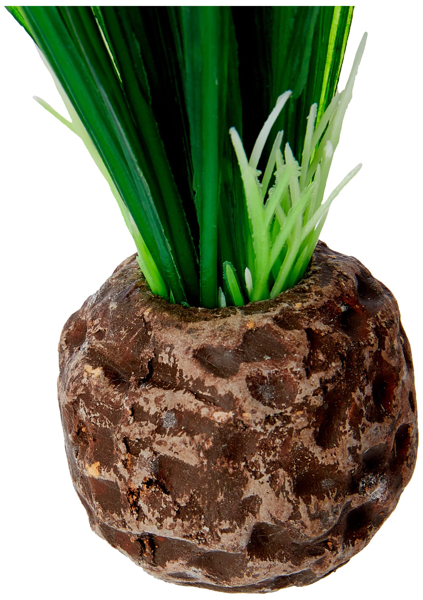 Biorb Easy Plant Pack, Small (Pack Of 2)