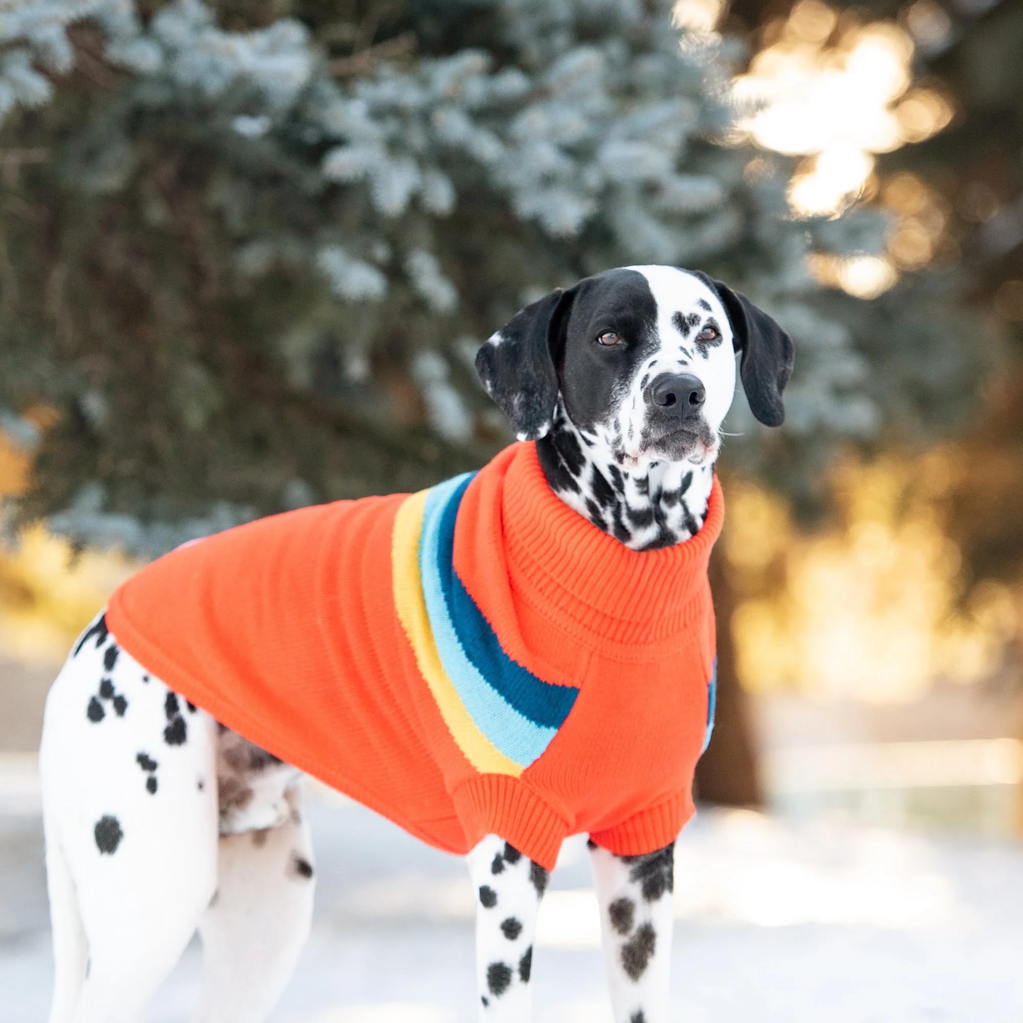 GF Pet - Alpine Sweater - Orange - 2XS