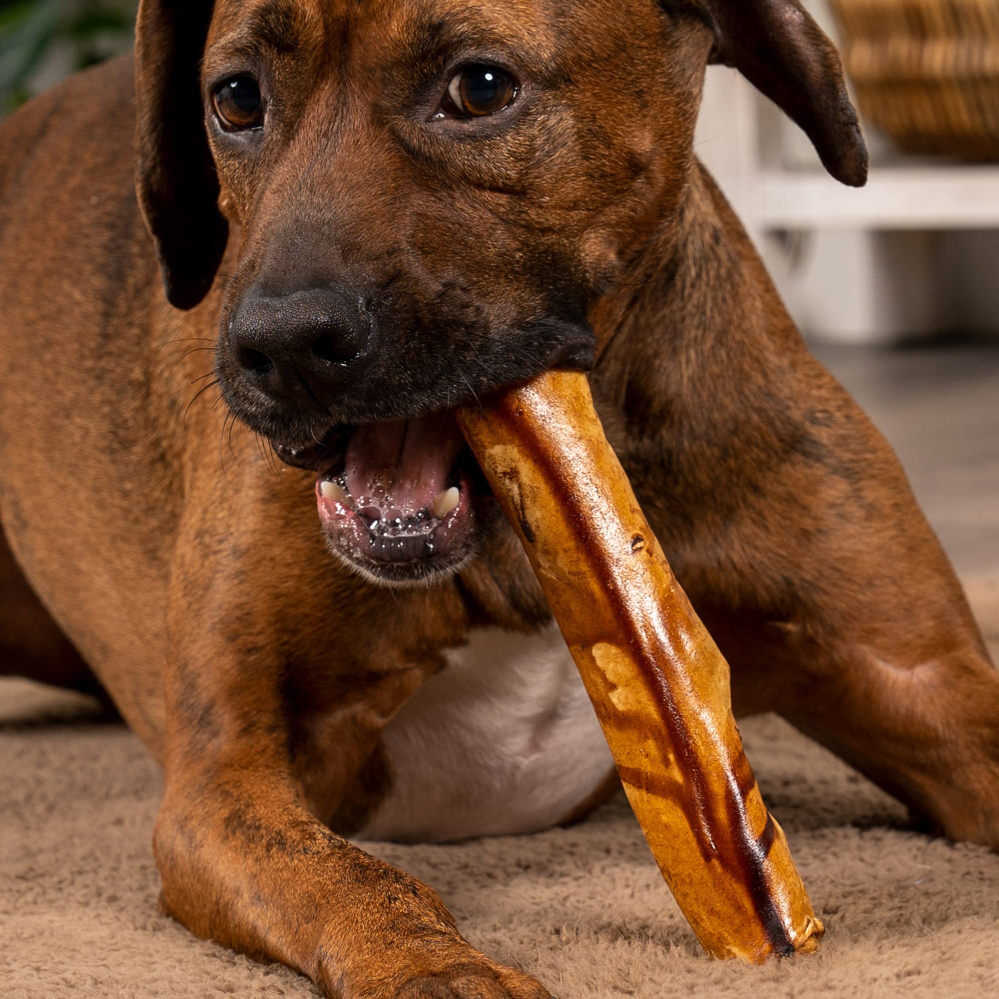 Pet Factory 100% Made in USA Beefhide 8 Rolls Dog Chew Treats - Peanut Butter Flavor, 15 Count/1 Pack