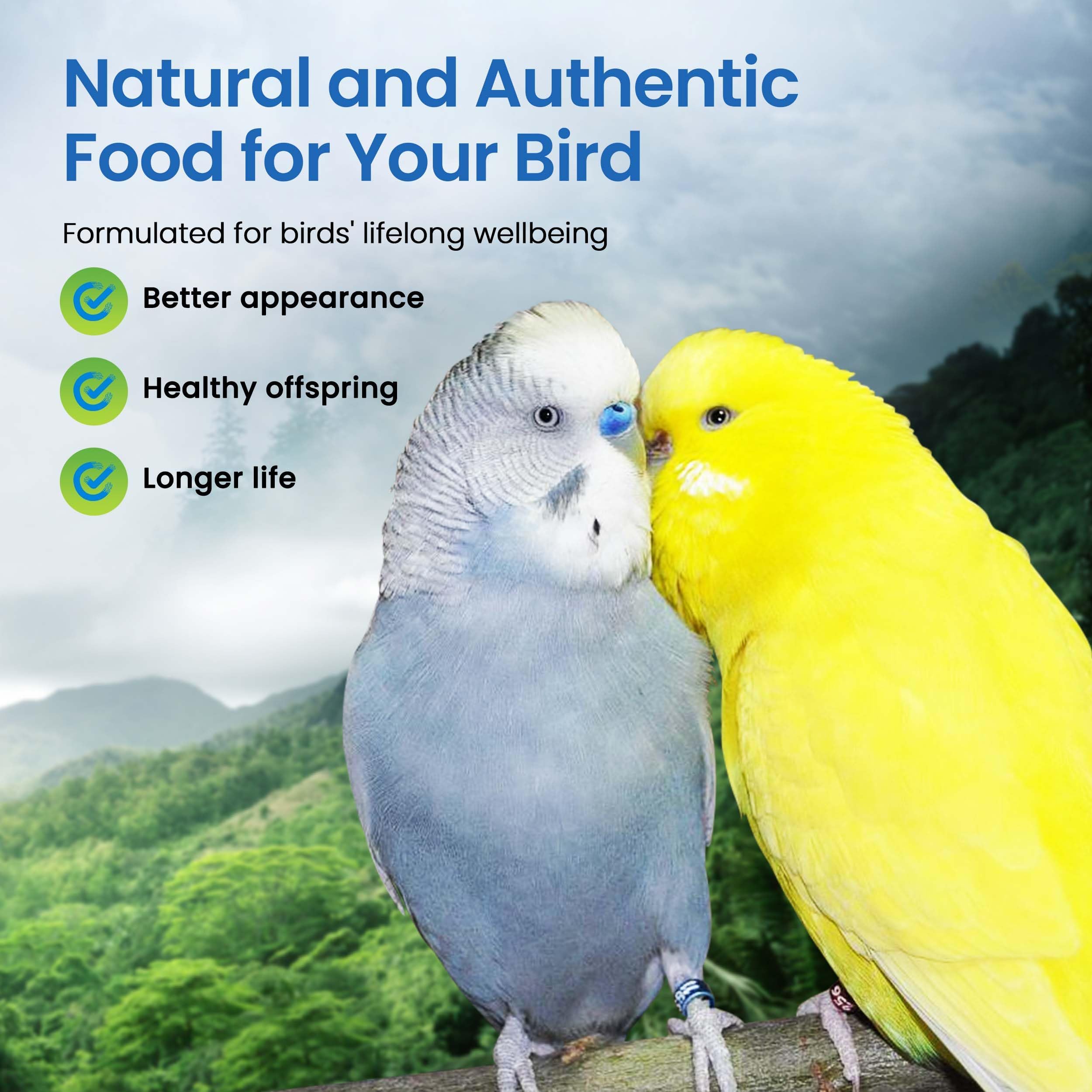 Harrison's Bird Foods Adult Lifetime Mash, 1lb, Ideal for Birds, Nutrient-Rich Formula