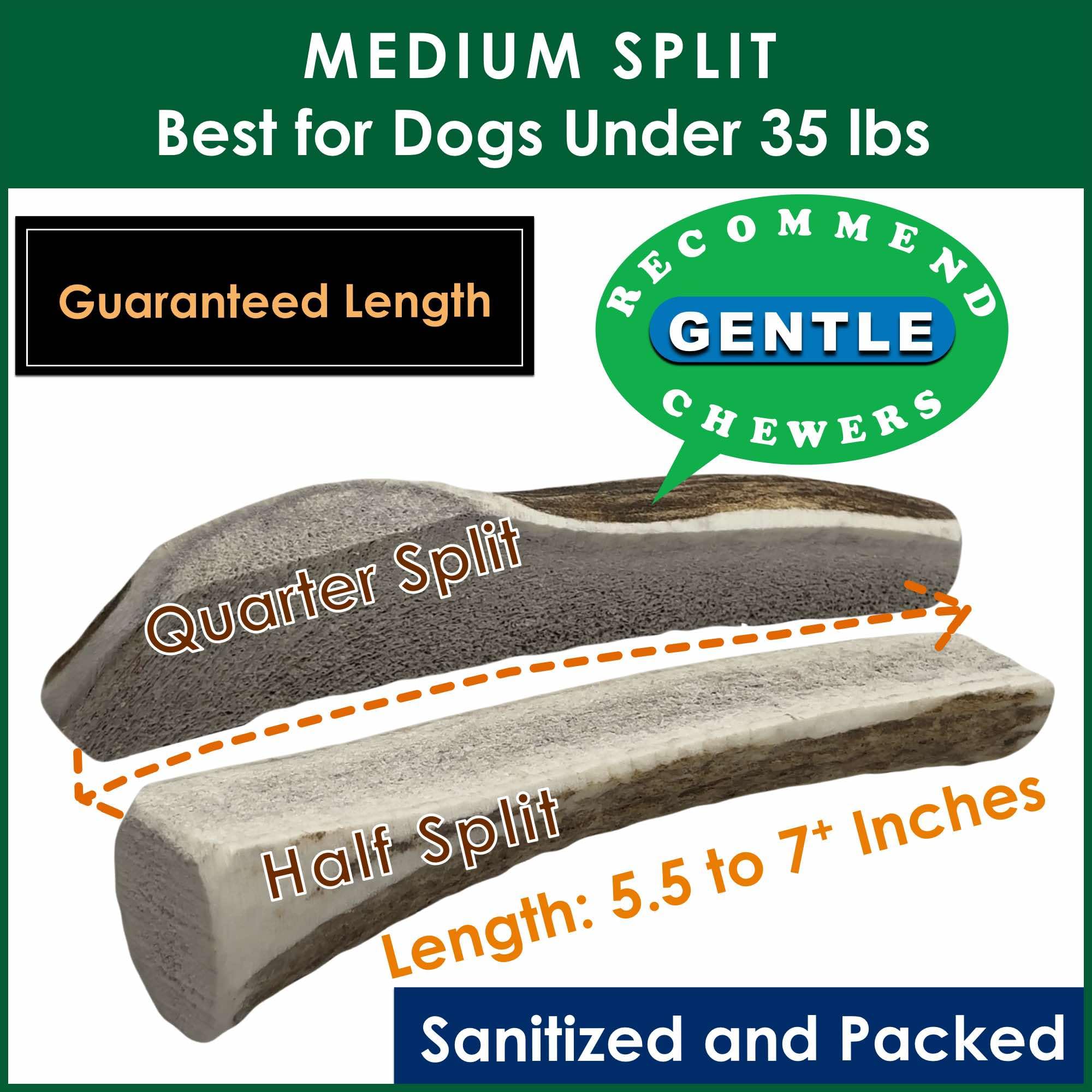 Deluxe Naturals 2-Pack Medium Split Elk Antler Dog Chews (5.5 to 7+ in) - All Natural, Premium Grade A, Odor-Free, USA-Sourced -