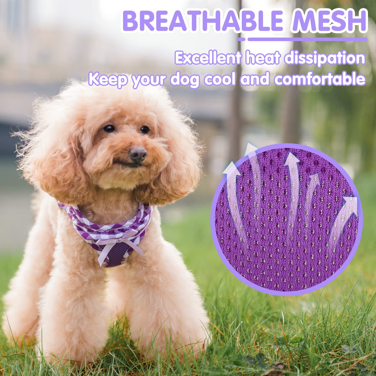 Pupteck Small Dog Harness No Pull Step-In Puppy Cat Harness Soft Mesh For Girls, Purple Xs