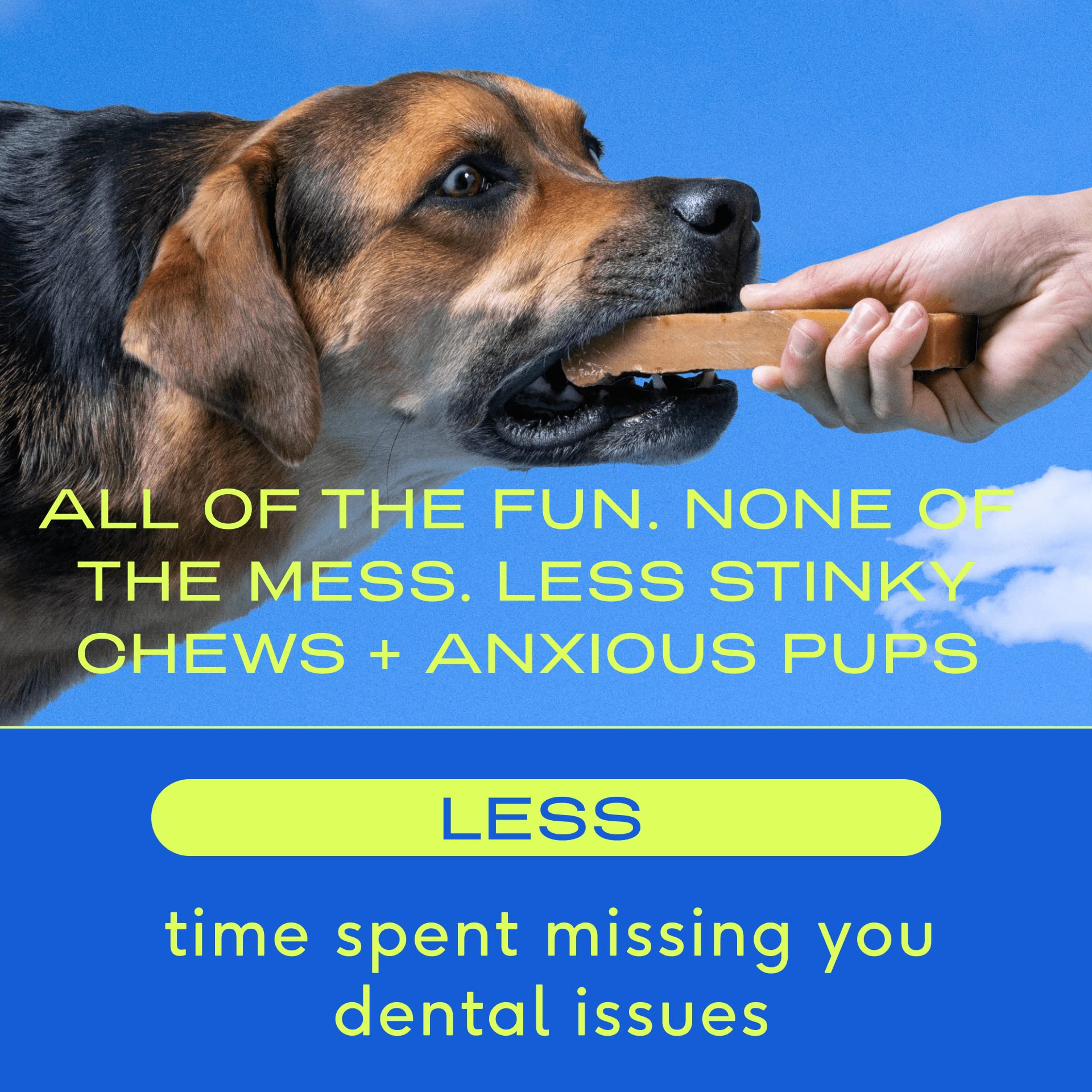 Native Pet Yak Chews (10 Large Chews)