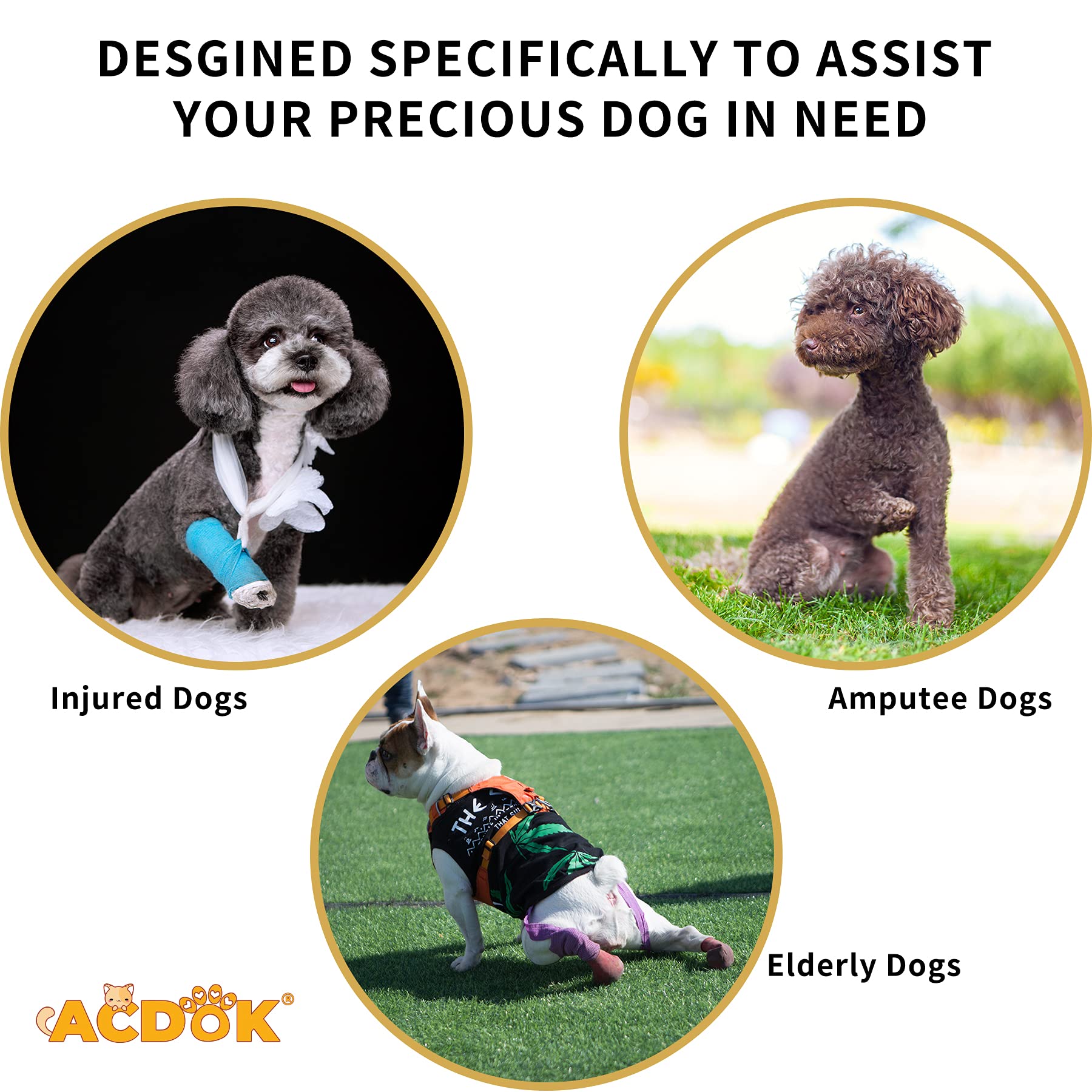 ACDOK Dog Lift Harness Full Body Support & Recovery Sling Pet Lift Vest Adjustable Straps with Handle for Old, Joint Injuries, A