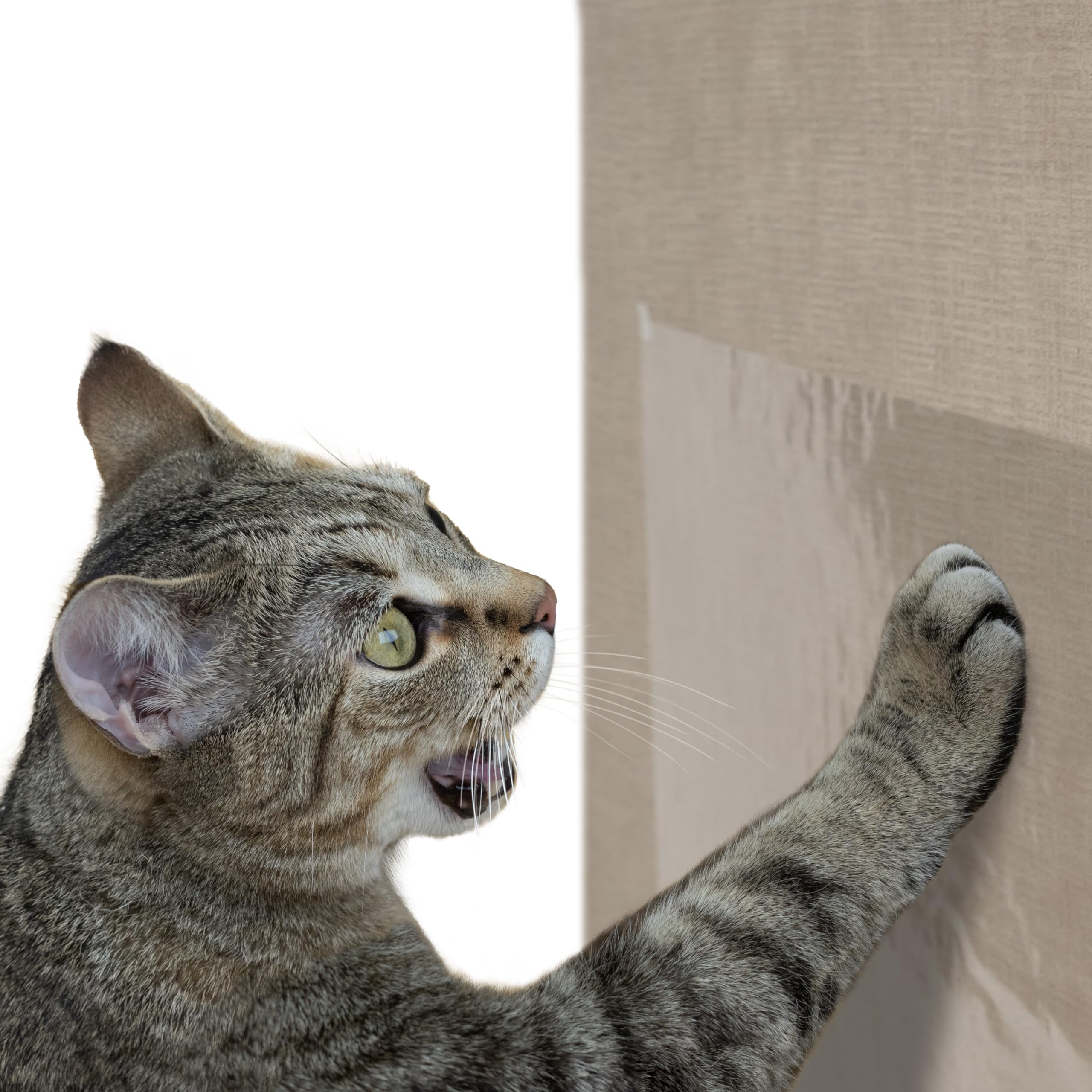 Kitty City Xl Wide Corrugate Cat Scratchers 3 Pieces, Cat Scratching, Cat Scratch Pad, Door Clips, Furniture Protectors From Cat Scratching