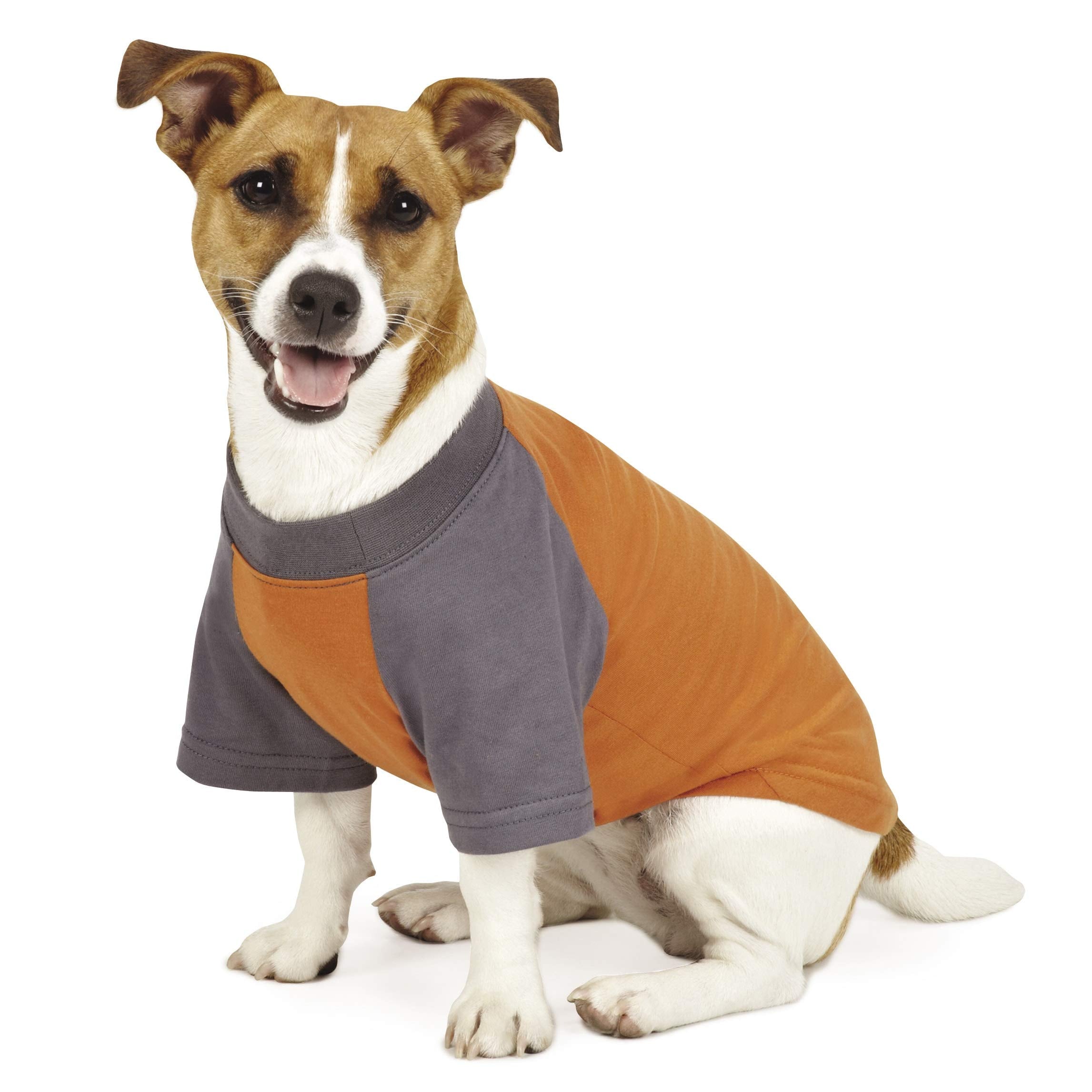 Insect Shield Insect Repellant Premium T-Shirt for Protecting Dogs from Fleas, Ticks, Mosquitoes, Orange, X-Small, 1 Count (Pack
