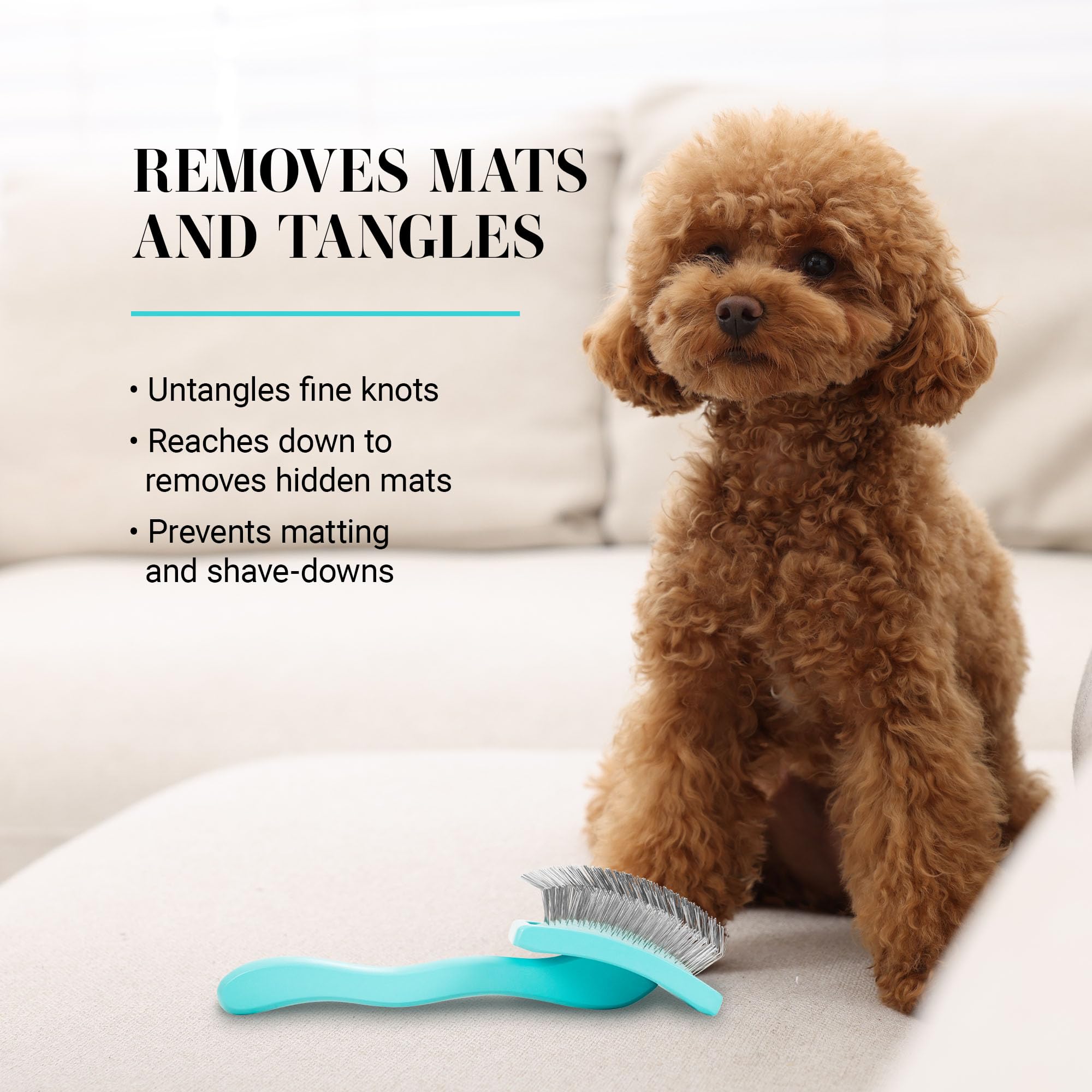 Chris Christensen Big G Dog Slicker Brush for Medium Teal Dogs, Perfect for Goldendoodles, Labradoodles, Poodles - Professional Grooming Tool