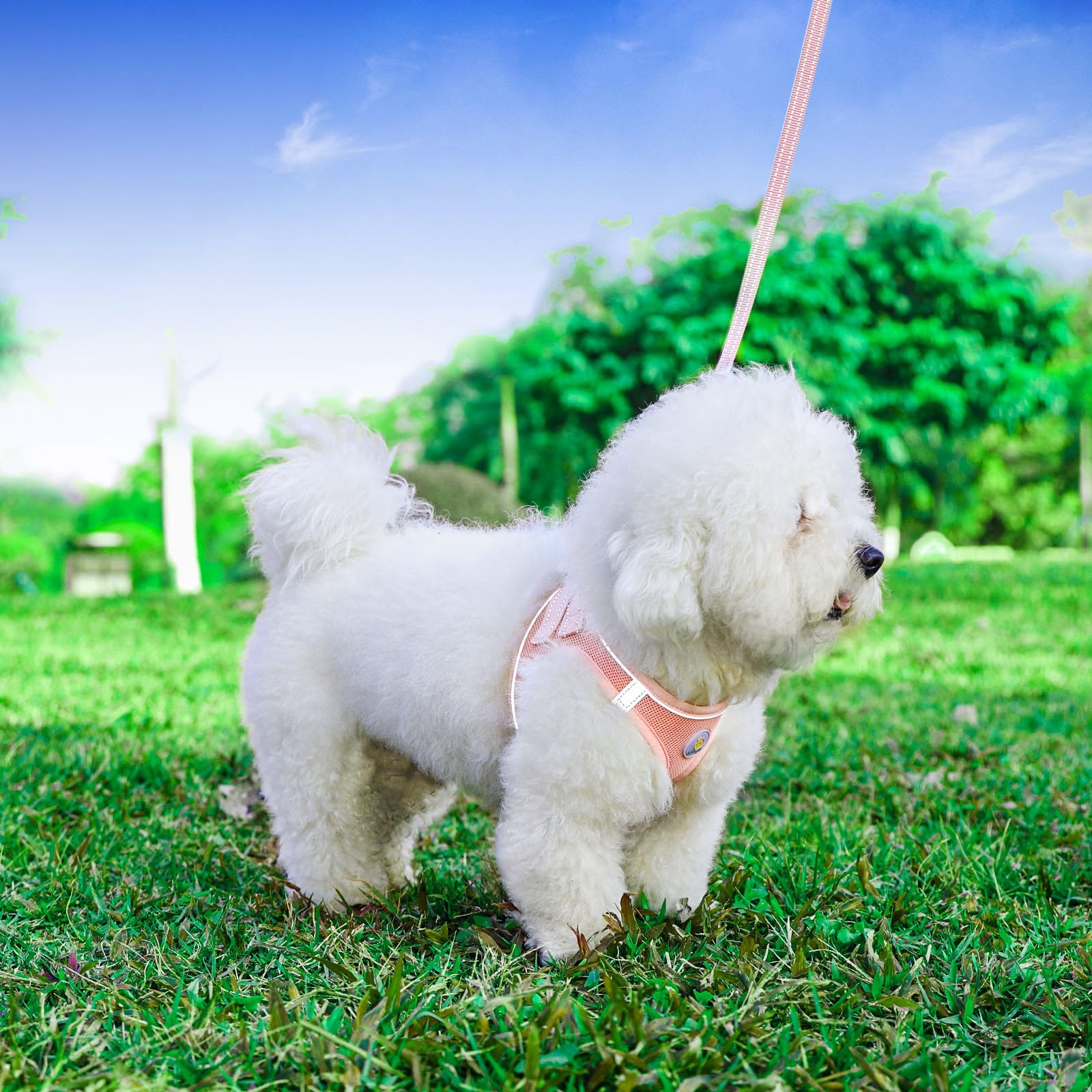 Hipubby Dog Harness And Leash Set, No Pull Soft Mesh Pet Harness For Small Medium Dogs, Cats - Step In Adjustable Reflective Pup