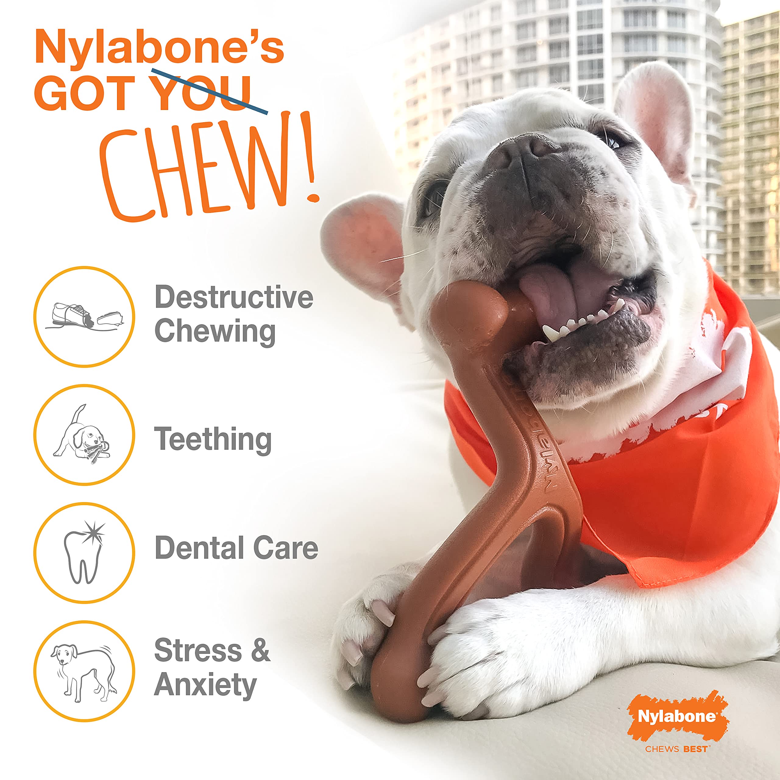 Nylabone Power Chew Dog Chew Toys For Aggressive Chewers Bundle Original And Bacon Flavors X-Large