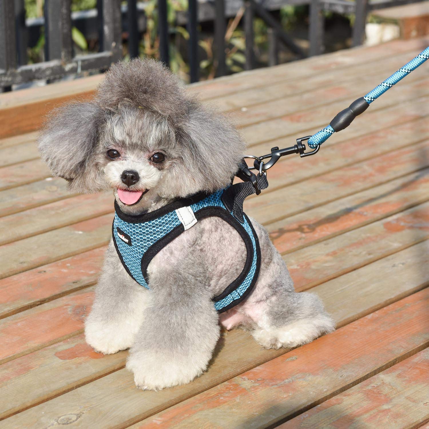 Matilor Dog Harness Step-In Breathable Puppy Cat Dog Vest Harnesses For Small Medium Dogs