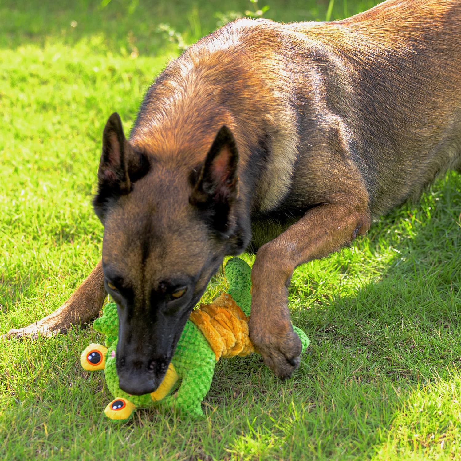 Sedioso Dog Tug Toy, Durable Dog Toys Large Breed, Tug Of War Dog Squeaky Toy, Stuffed Plush Dog Toys With Crinkle Paper For Sma