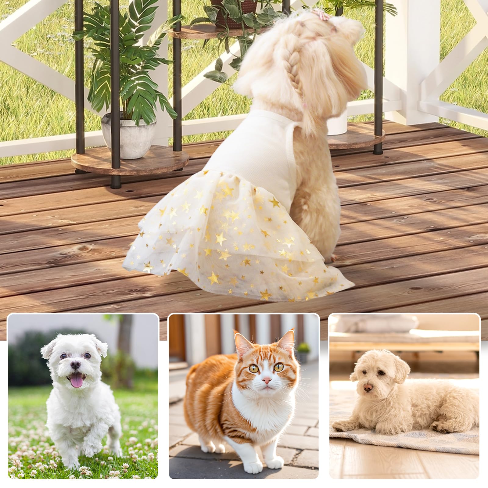 Dog Tutu Dress Cat Dogs Summer Tulle Slip Lace Dress Cute Puppy Glitter Star Skirt Pet Party Clothes For Small Medium Cat Dog (Y