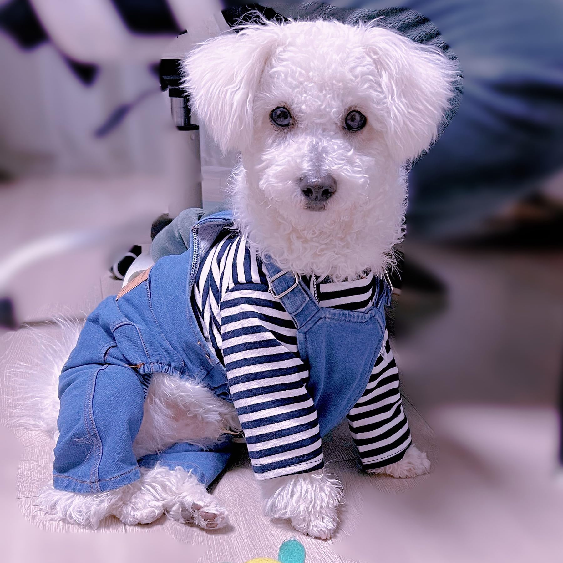 Rbenxia 1 Piece Of Dog Denim Shirts Puppy Jean Jacket Sling Jumpsuit Costumes Pet Jean Overalls Dog Pants Outfits For Small Pupp
