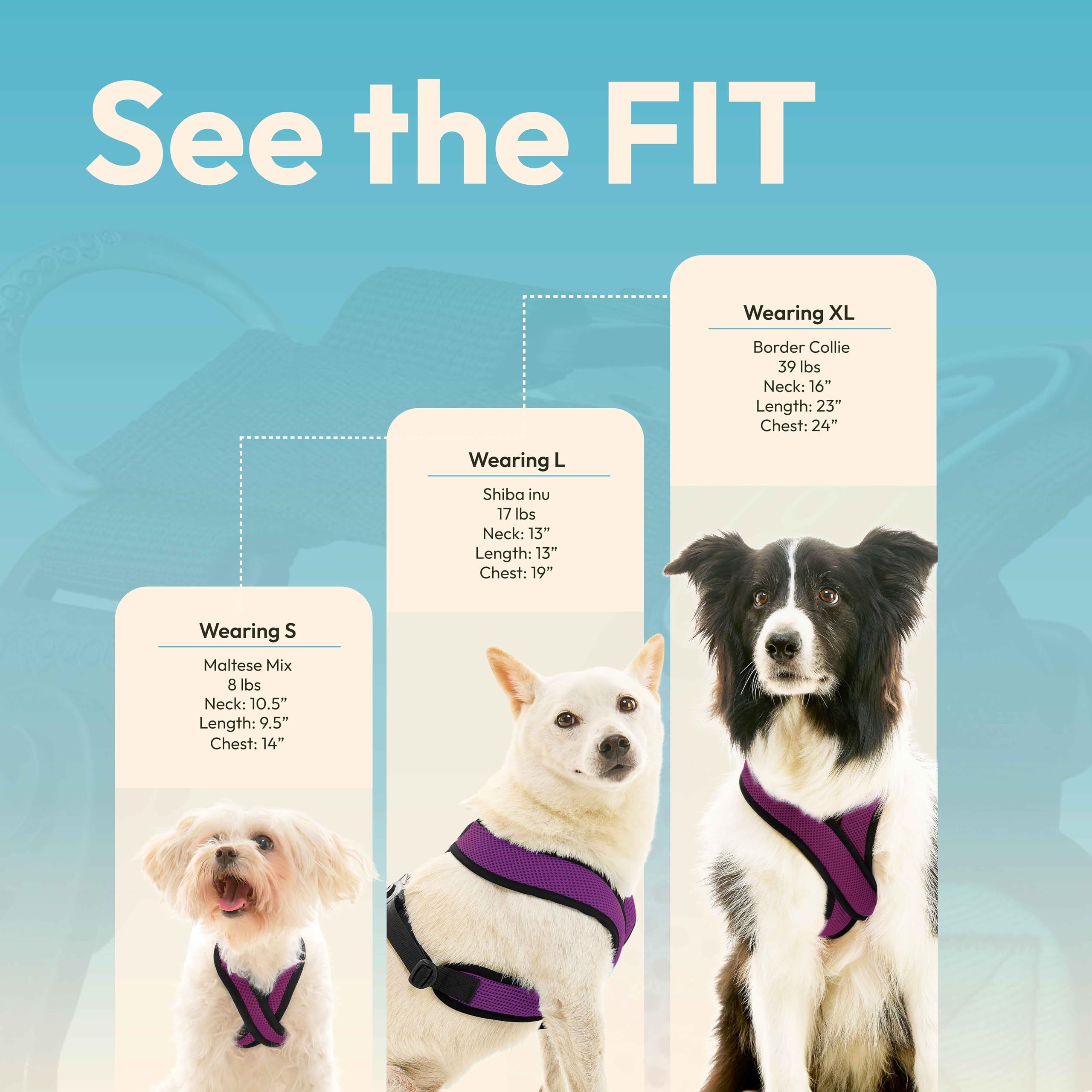 Gooby Comfort X Harness Dual Snap Mesh In Dog Harness - Violet, Medium