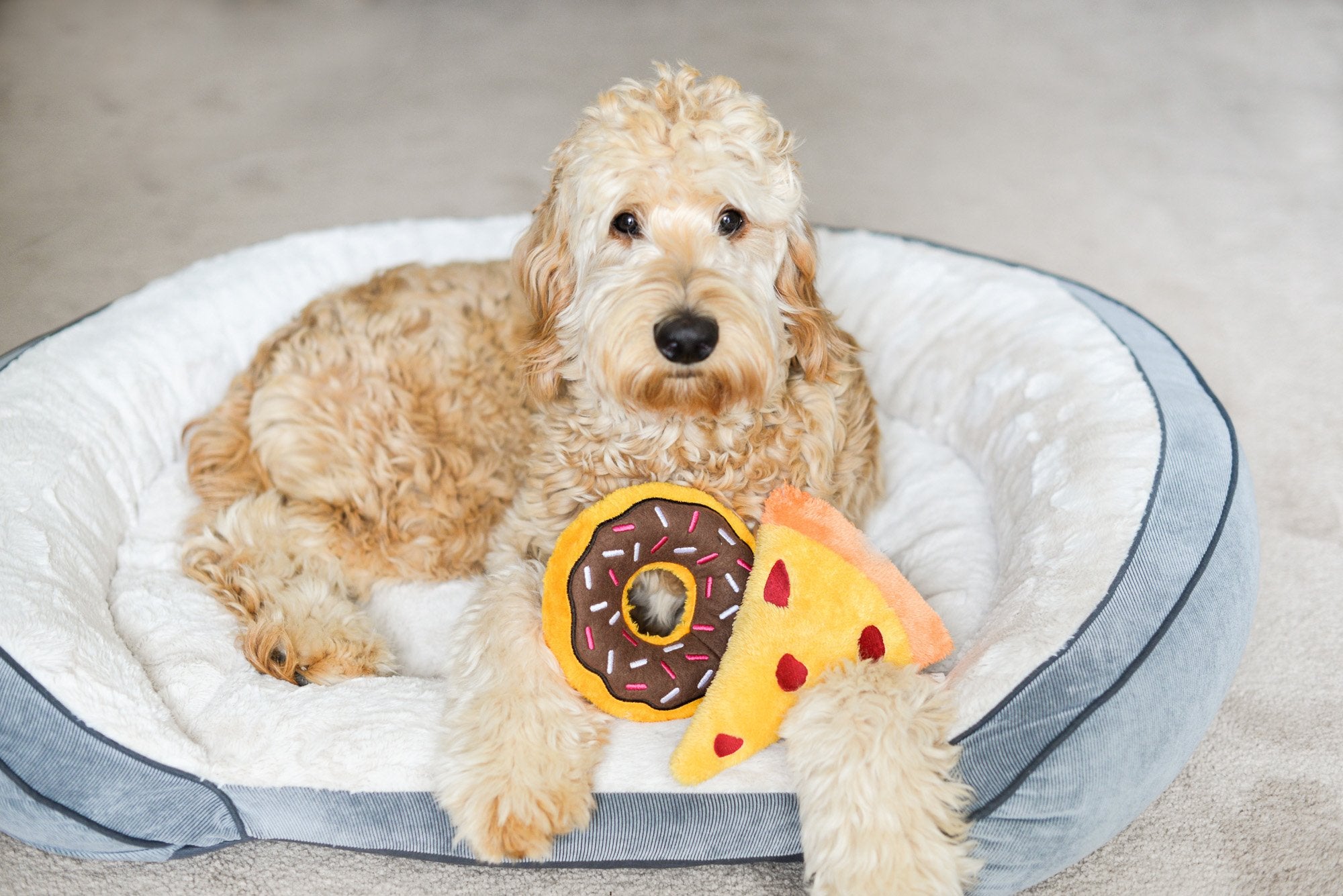 Zippypaws - Original Donutz No Stuffing Squeaky Plush Dog Toy - Chocolate, Original Size