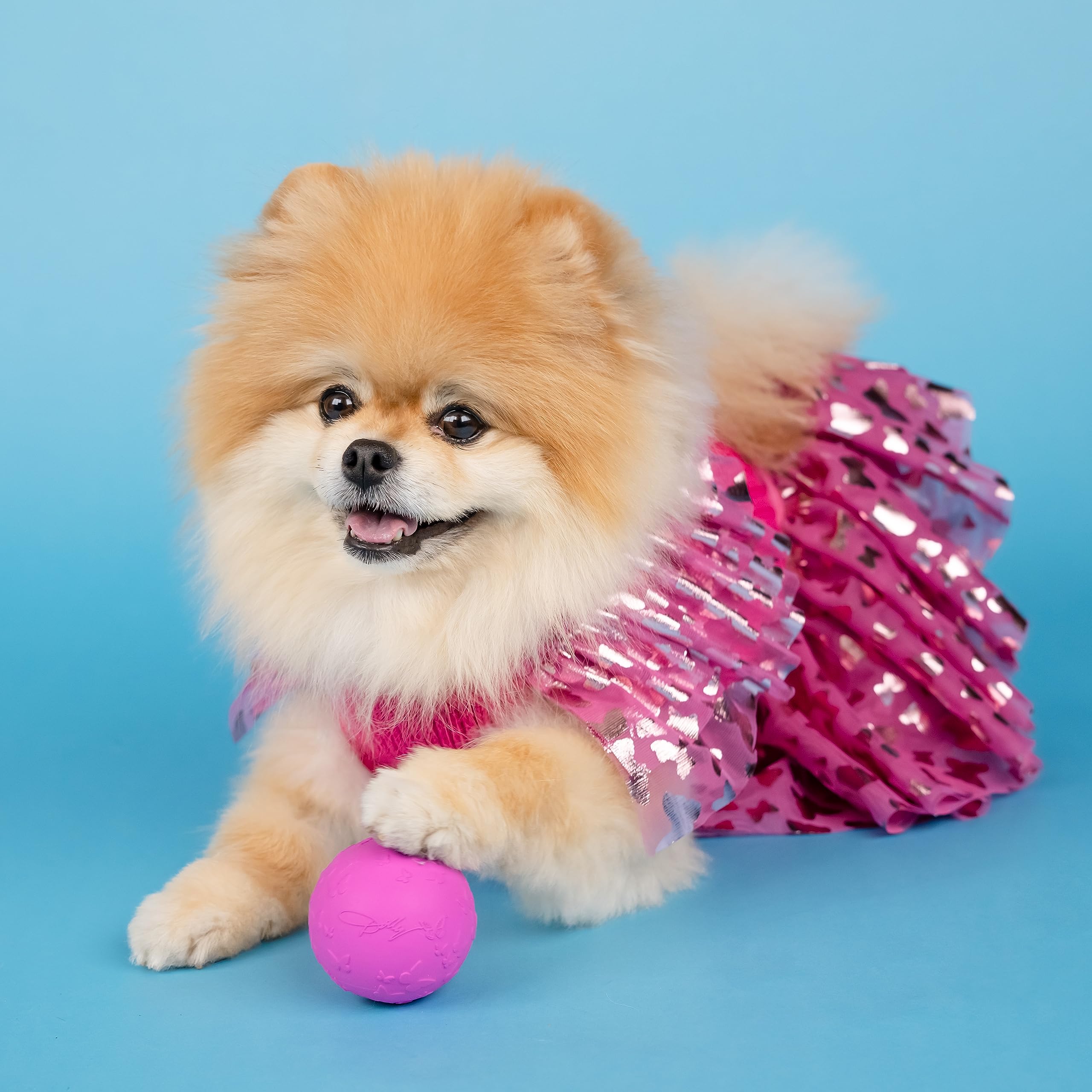 Doggy Parton Natural Rubber Dog Toys, Dog Balls, Treater