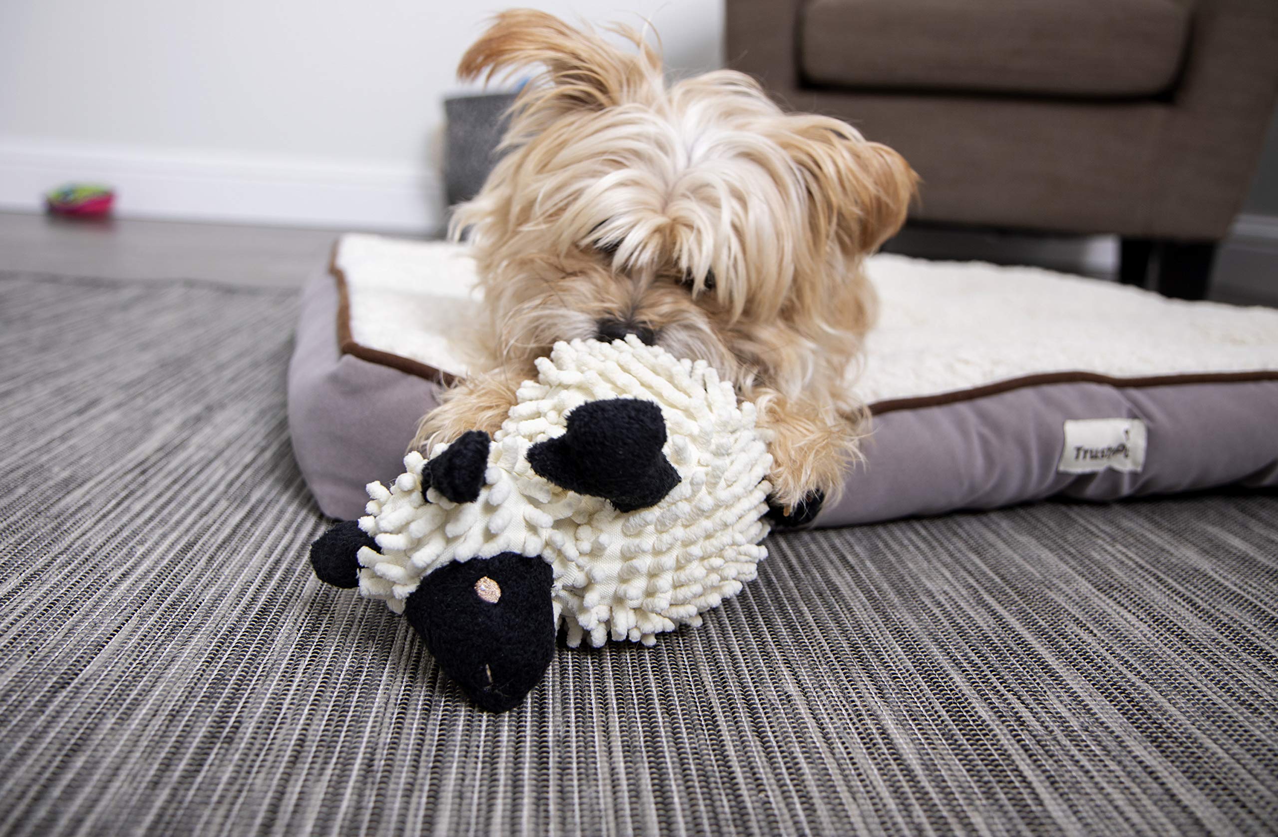 Godog Fuzzy Wuzzy Lamb Squeaky Plush Dog Toy, Chew Guard Technology - Assorted, Small