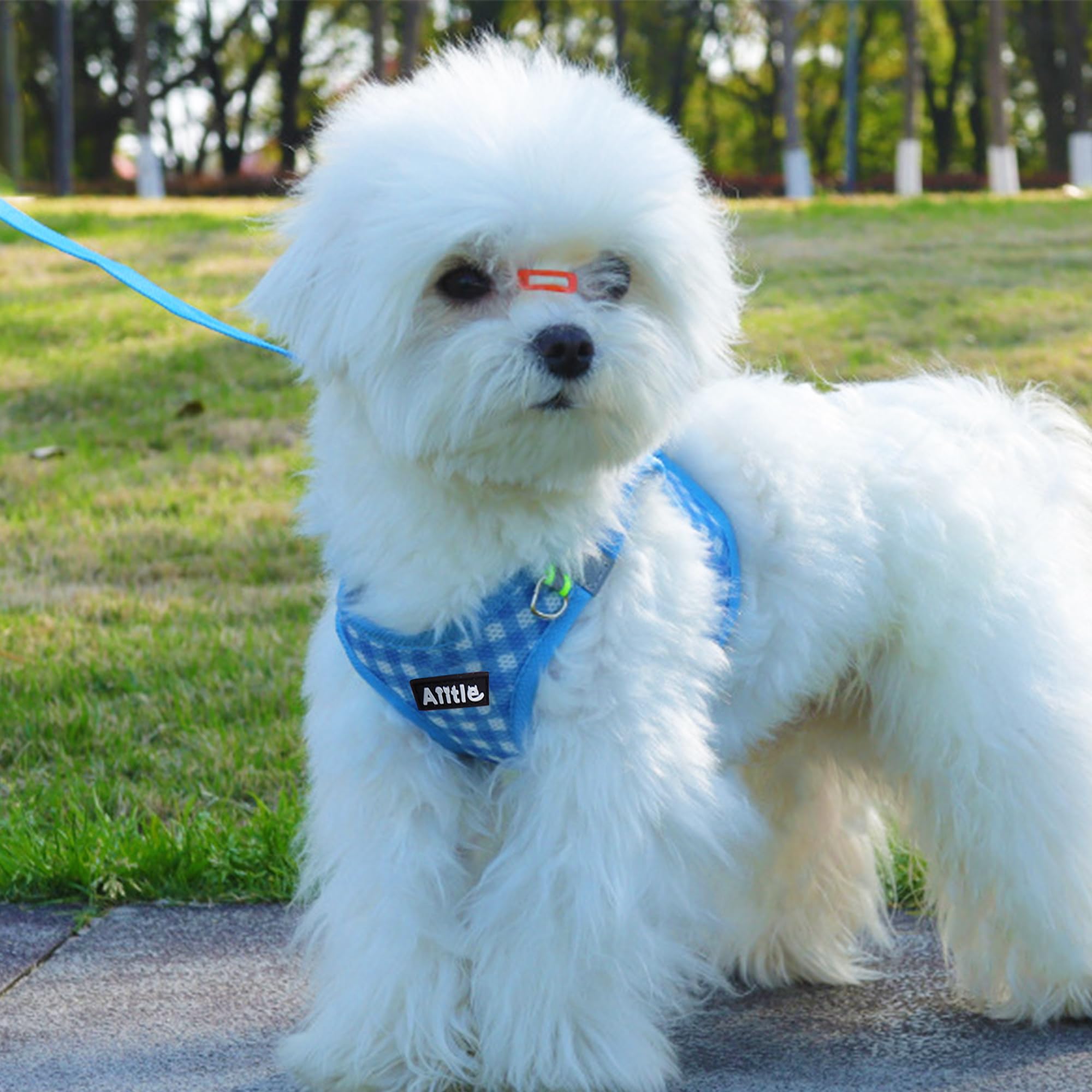 Aiitle No-Pull Pet Harness With A Leash, Plaid Comfort Padded Vest, Step In Dog Harness, Reflective Bands, Soft Breathable Pet S