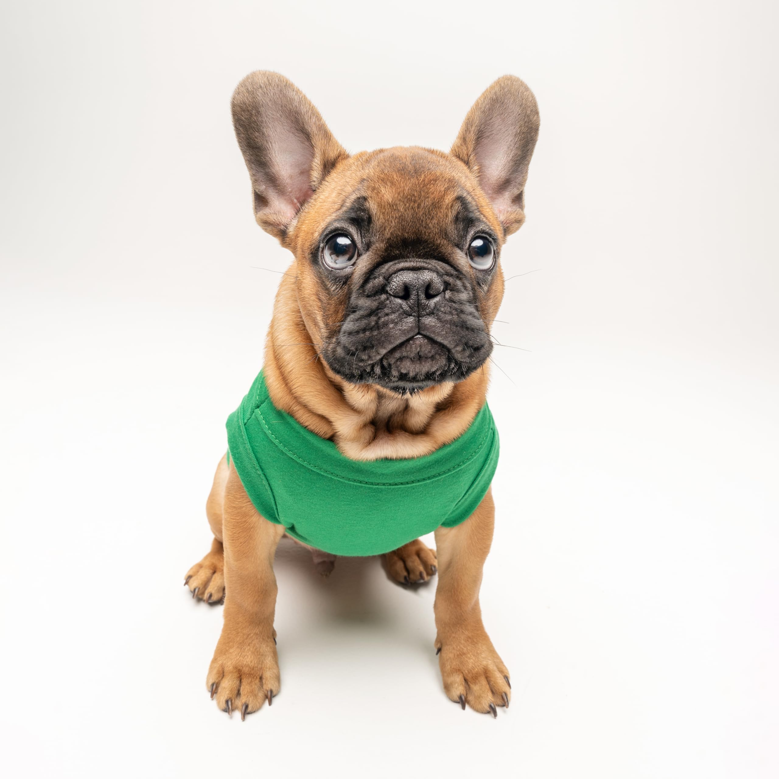 Mama'S Boy Mother'S Day, Valentine'S Day Dog Tee Shirt Sizes For Puppies, Toys, And Large Breeds (Green, X-Small 944)