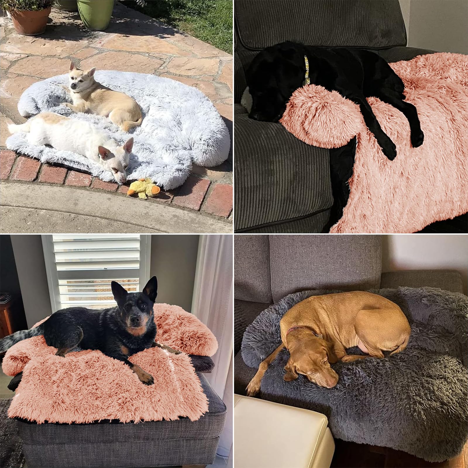 Ggib Calming Dog Bed Fluffy Plush Dog Mat For Furniture Protector With Removable Washable Cover For Large Medium Small Dogs And Cats (Medium, Pink)