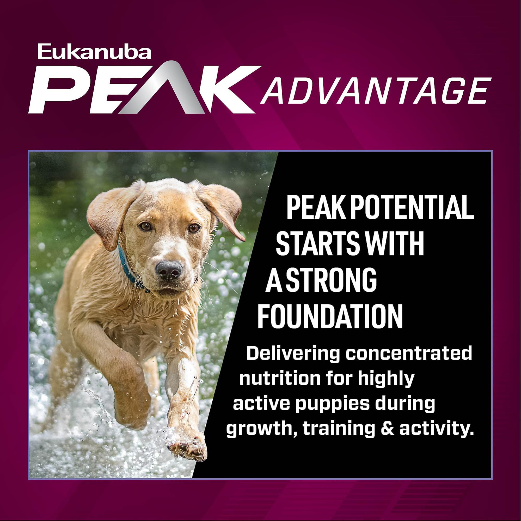Eukanuba Premium Performance Puppy Pro Puppy Dry Dog Food, 28 lb Bag