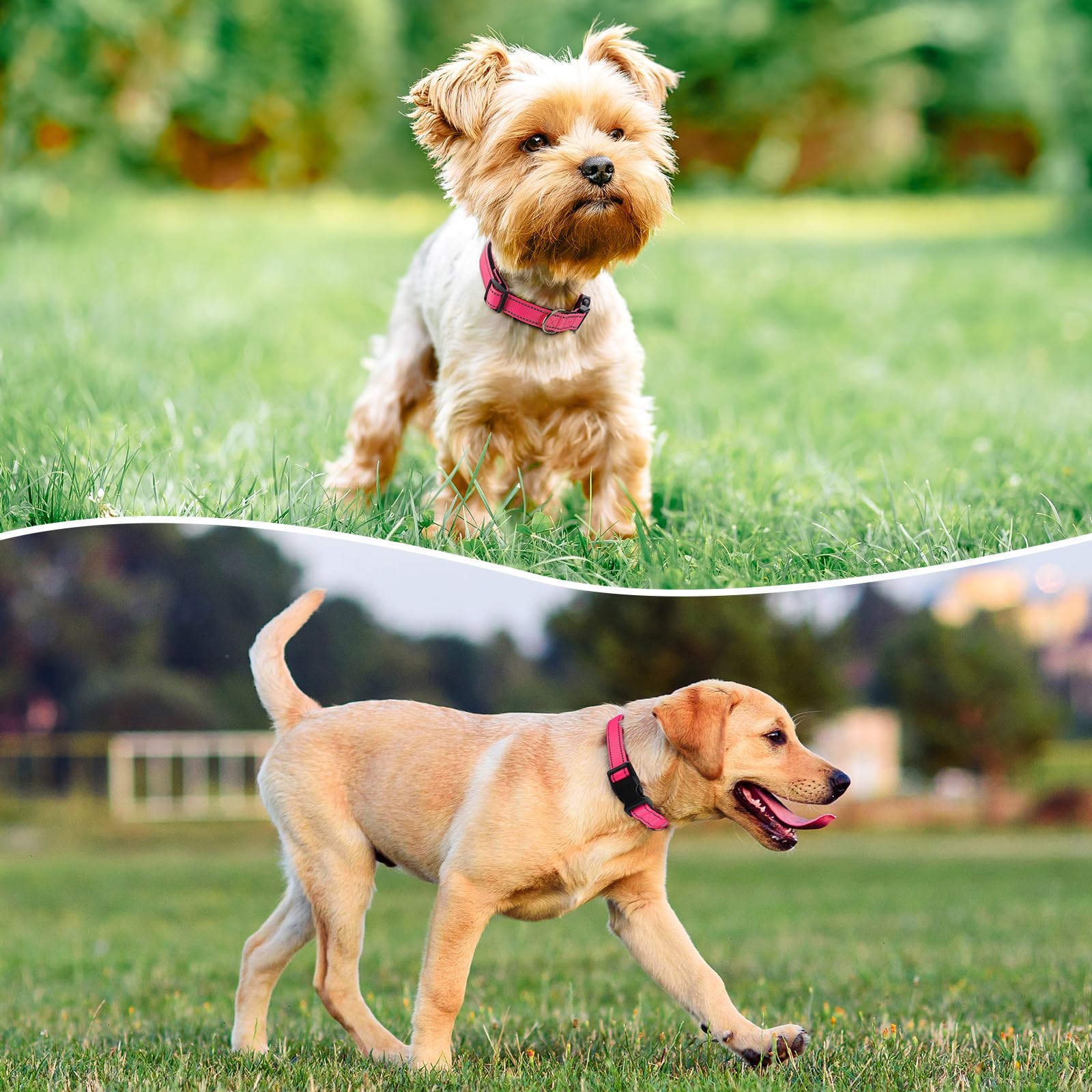 Penseepet Reflective Dog Collar Padded With Soft Neoprene Breathable Quick Release Basic Dog Collars For Medium Dogs Hot Pink Girl