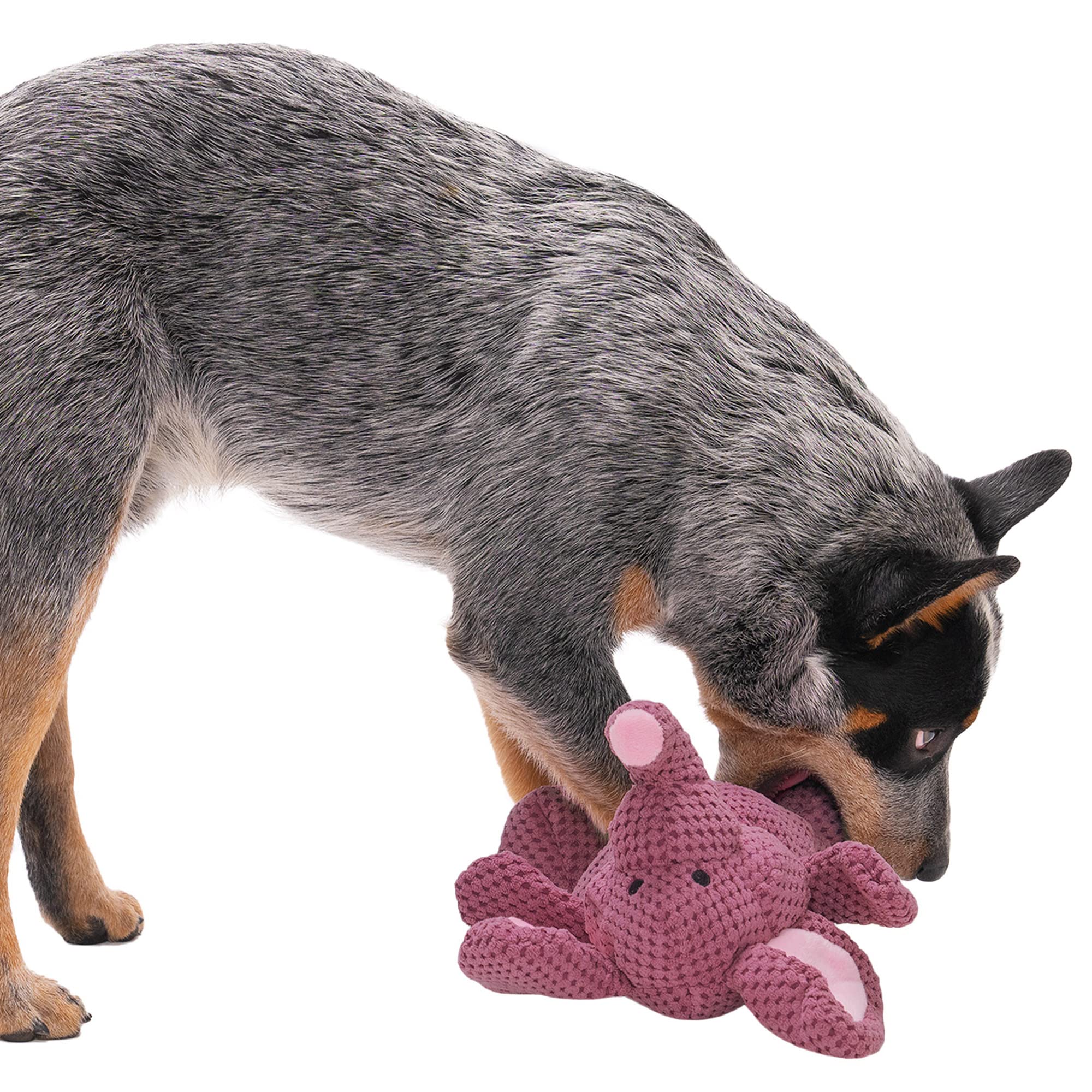 Godog Checkers Elephant Squeaky Plush Dog Toy, Chew Guard Technology - Violet, Large