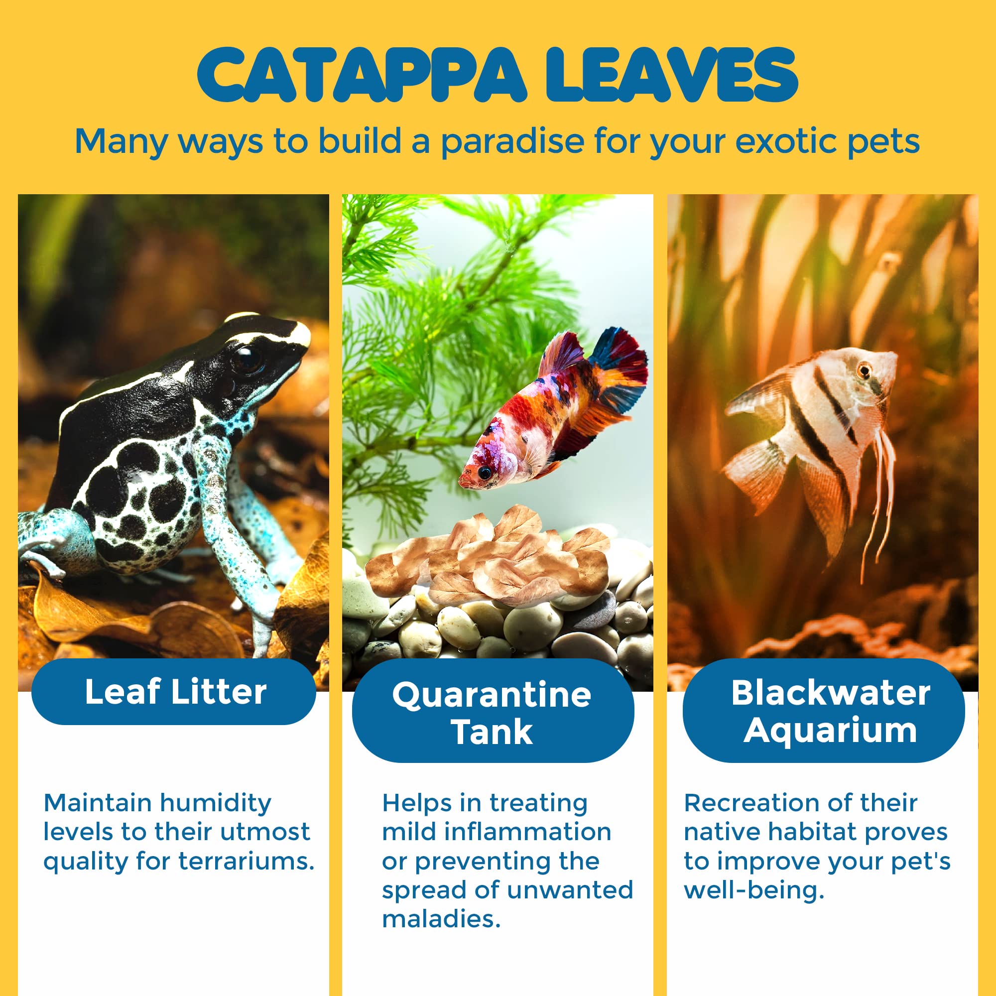SunGrow 100 Pcs Mini Catappa Indian Almond Leaves for Betta Fish Aquarium, Shrimp, Frogs, Improves Habitat, Gives Tea Color, Hel