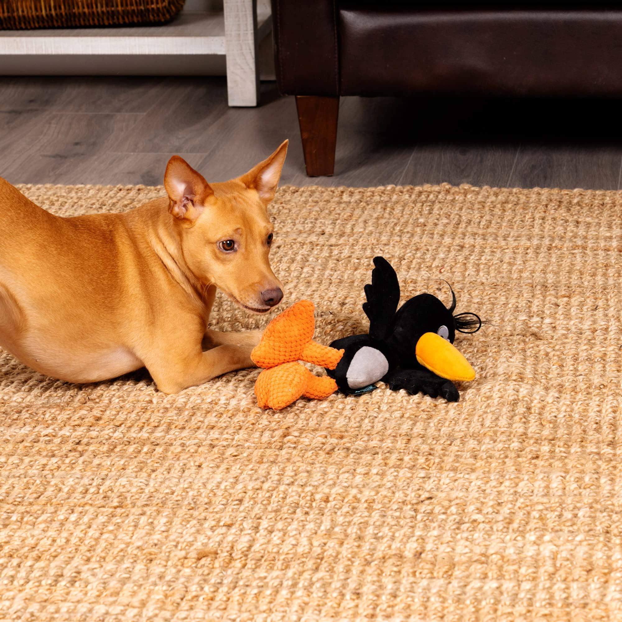 Trustypup Strong 'N Silent Birds Crow Silent Squeak Plush Dog Toy, Chew Guard Technology - Black, Large